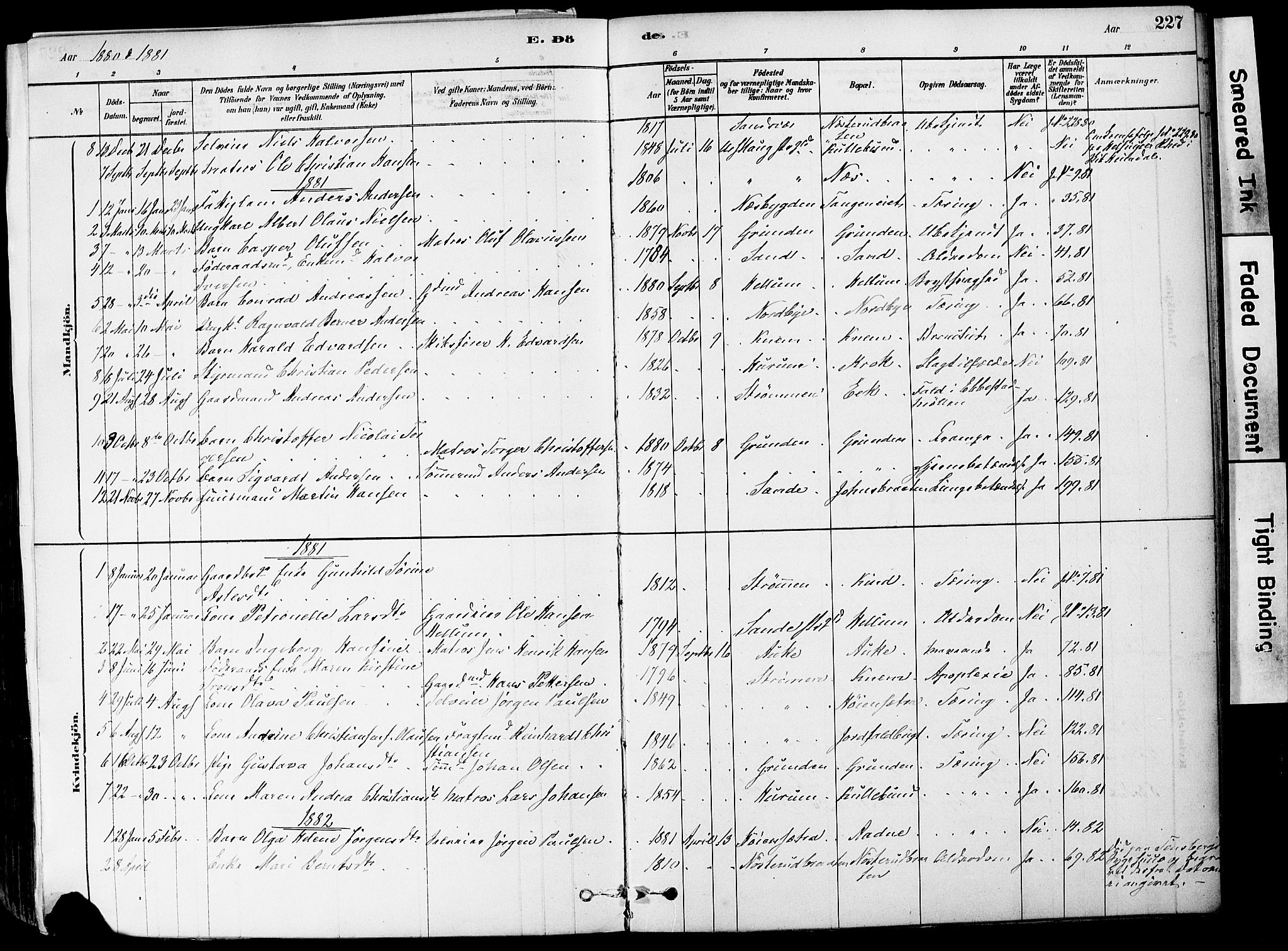 Strømm kirkebøker, AV/SAKO-A-322/F/Fa/L0004: Parish register (official) no. I 4, 1878-1899, p. 227