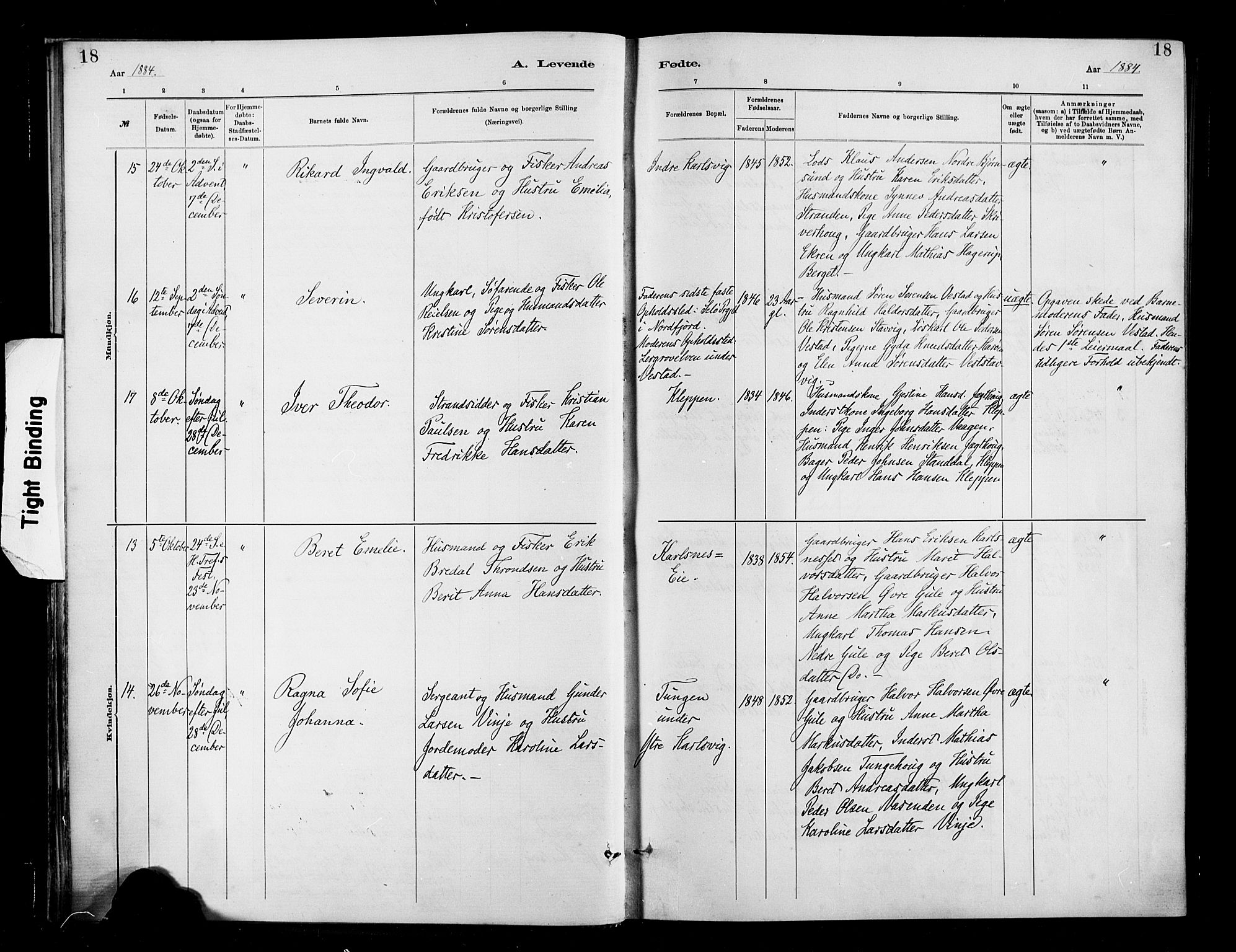 Ministerialprotokoller, klokkerbøker og fødselsregistre - Møre og Romsdal, AV/SAT-A-1454/566/L0769: Parish register (official) no. 566A08, 1881-1903, p. 18