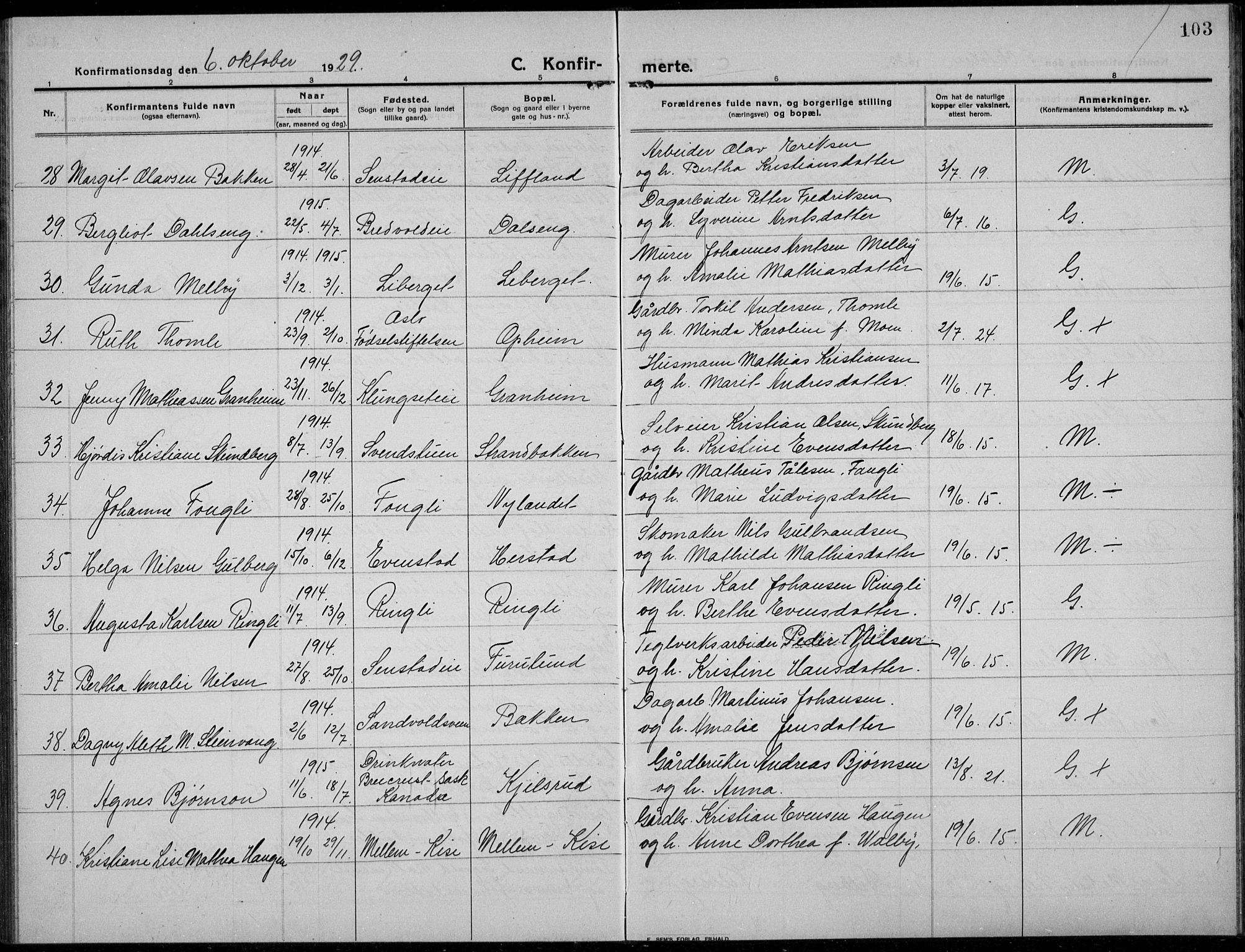 Nes prestekontor, Hedmark, AV/SAH-PREST-020/L/La/L0009: Parish register (copy) no. 9, 1913-1936, p. 103