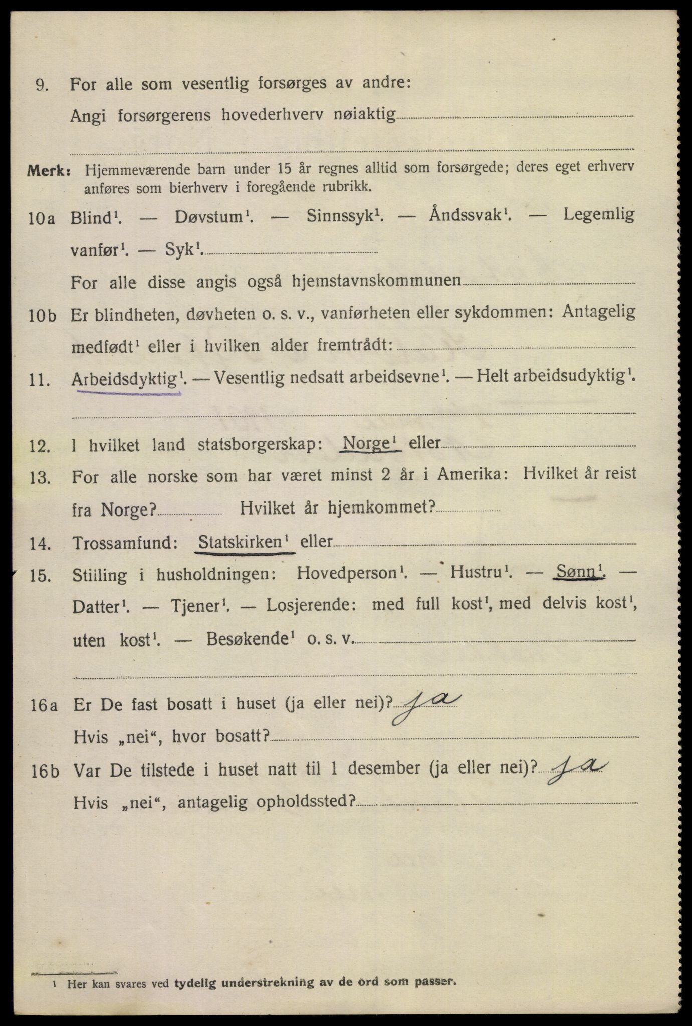 SAKO, 1920 census for Notodden, 1920, p. 15201