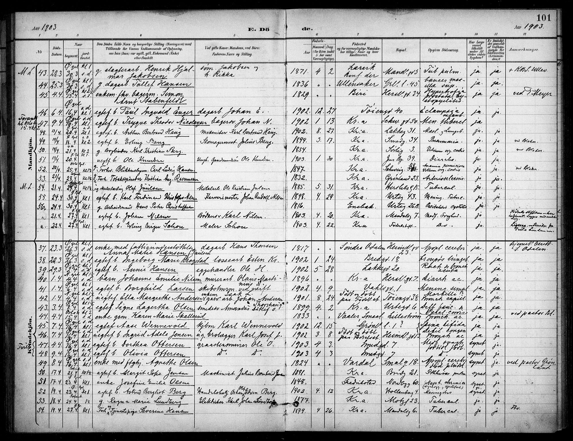 Grønland prestekontor Kirkebøker, SAO/A-10848/F/Fa/L0016: Parish register (official) no. 16, 1898-1918, p. 101