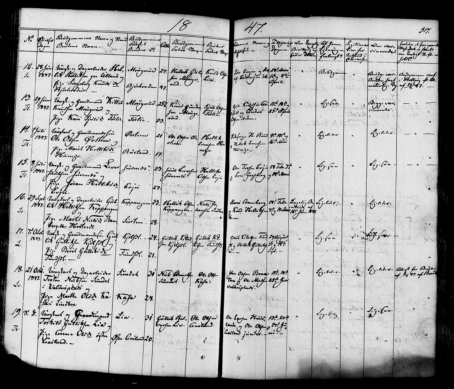 Flesberg kirkebøker, AV/SAKO-A-18/F/Fa/L0006: Parish register (official) no. I 6, 1834-1860, p. 317