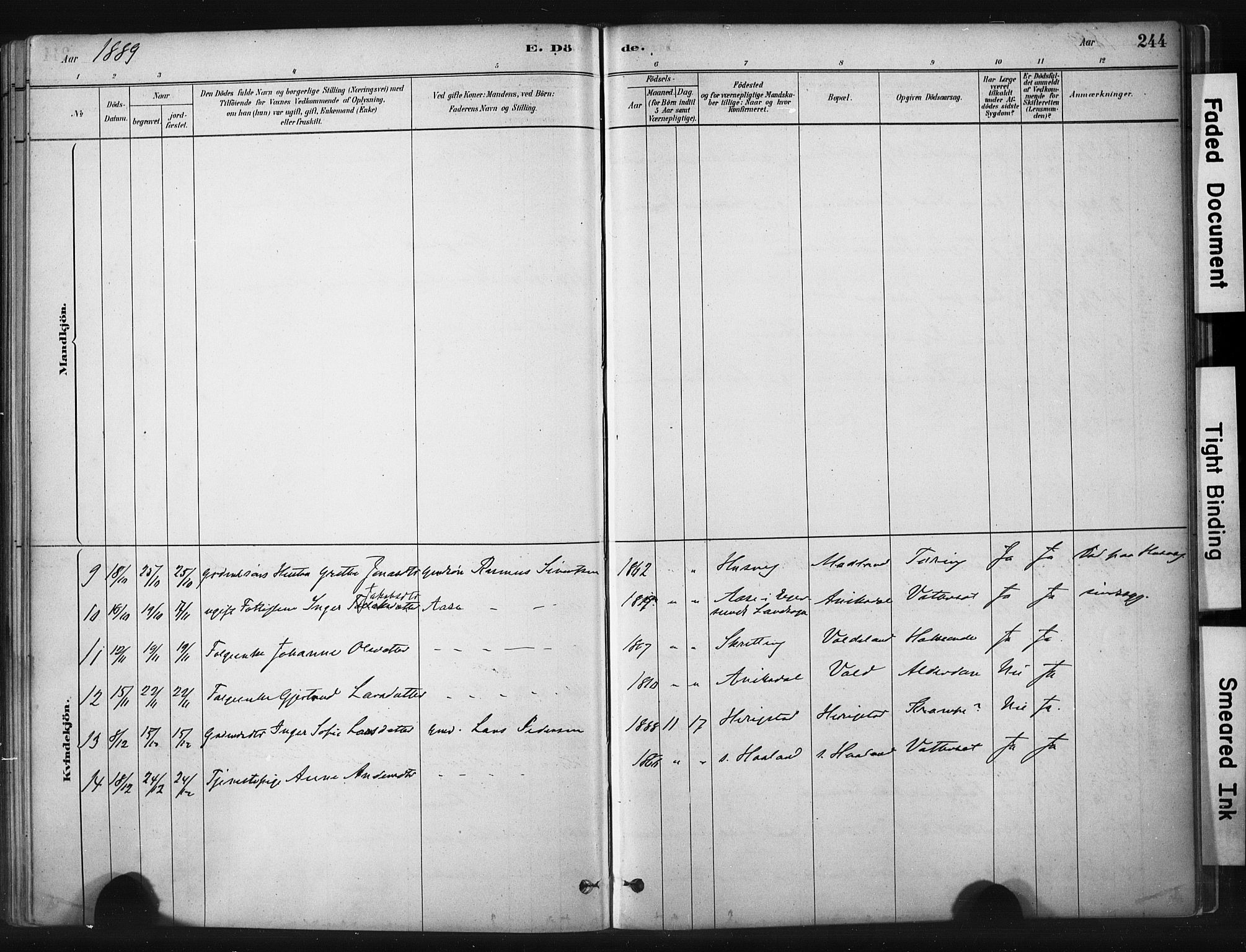 Hå sokneprestkontor, AV/SAST-A-101801/001/30BA/L0011: Parish register (official) no. A 10, 1879-1900, p. 244