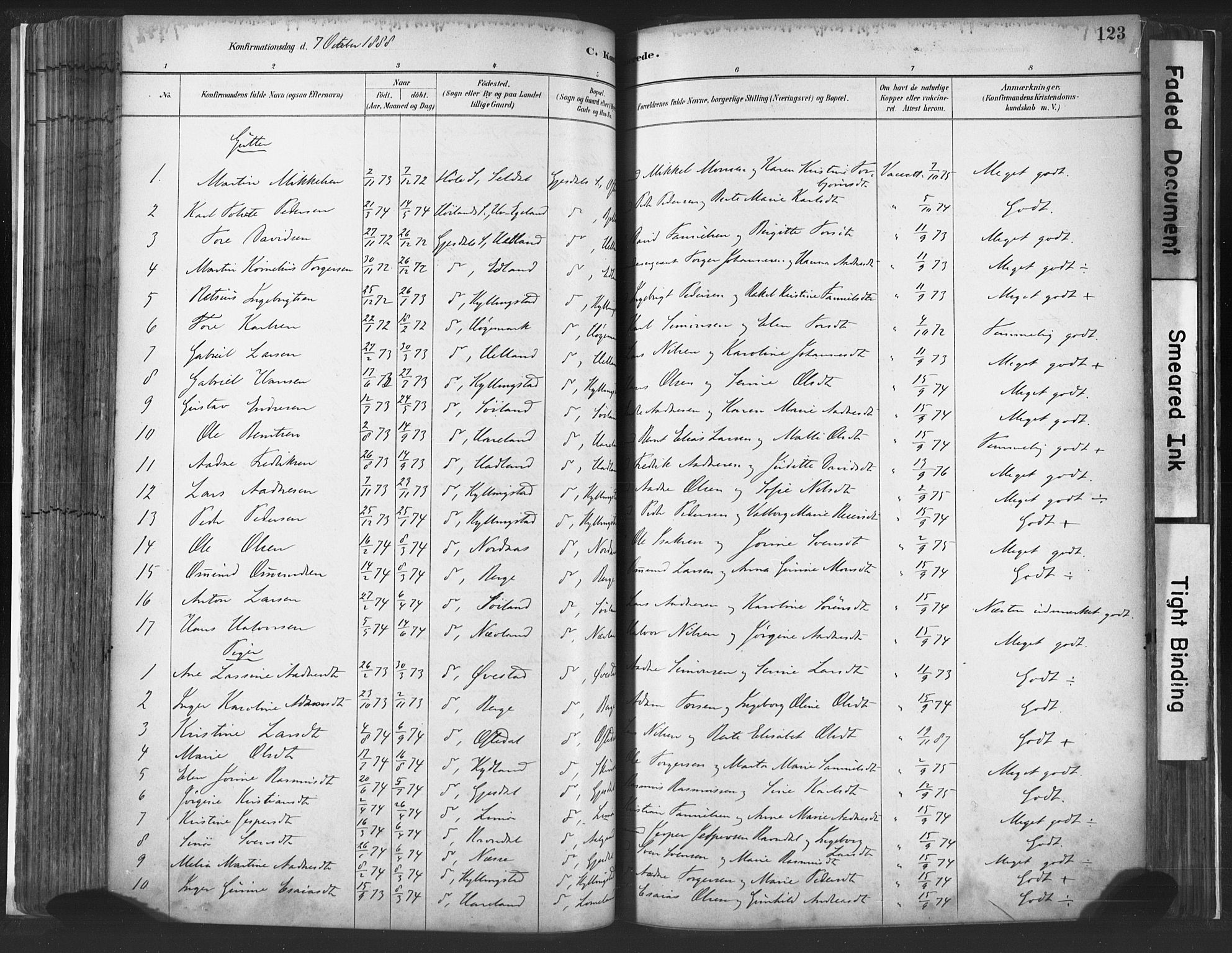 Lye sokneprestkontor, SAST/A-101794/001/30BA/L0010: Parish register (official) no. A 10, 1881-1896, p. 123