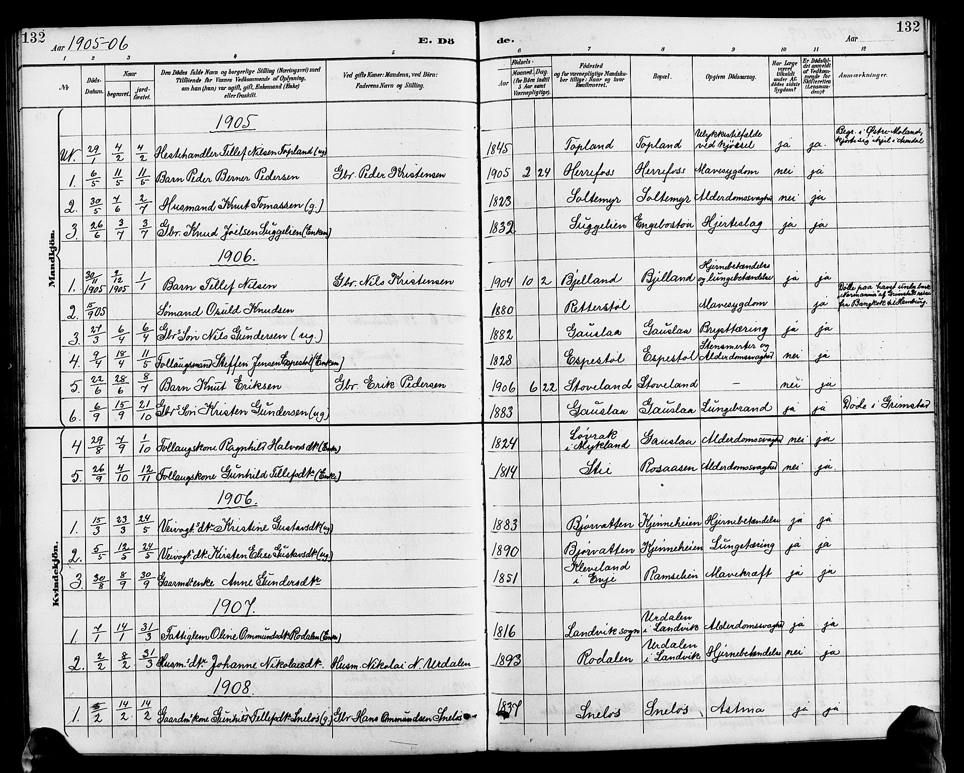 Herefoss sokneprestkontor, AV/SAK-1111-0019/F/Fb/Fba/L0003: Parish register (copy) no. B 3, 1887-1925, p. 132