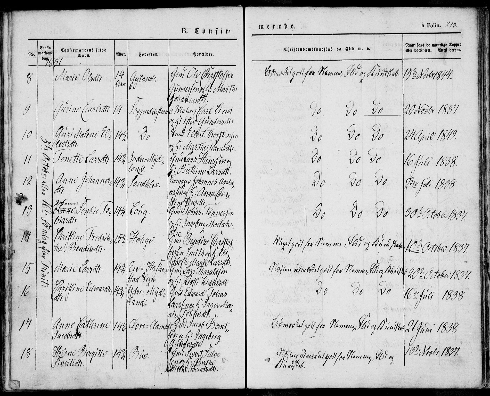 Sokndal sokneprestkontor, SAST/A-101808: Parish register (official) no. A 8.1, 1842-1857, p. 213