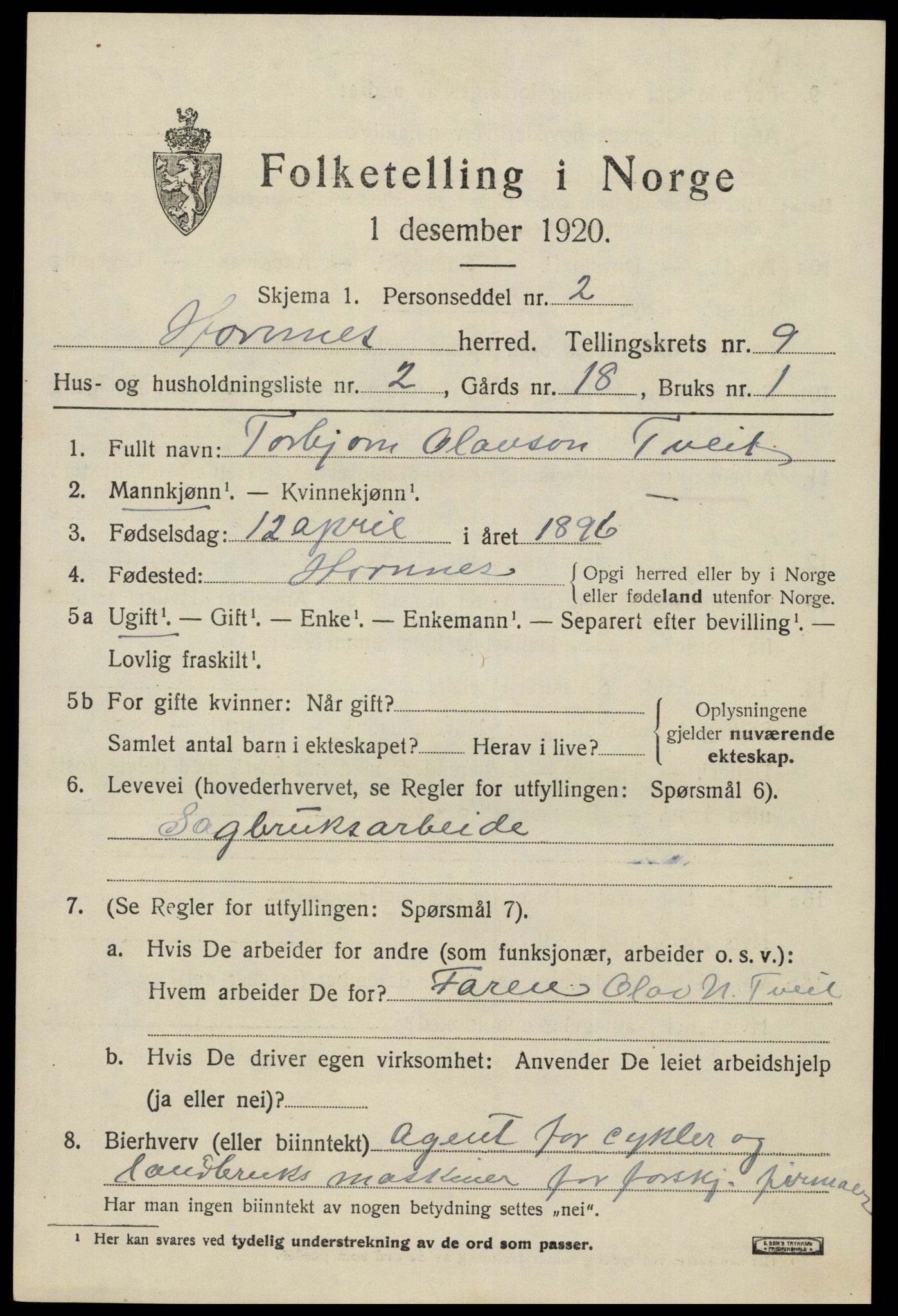 SAK, 1920 census for Hornnes, 1920, p. 2203