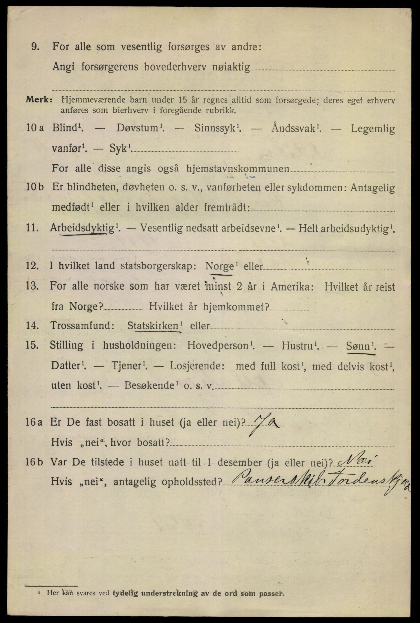 SAKO, 1920 census for Skien, 1920, p. 45733