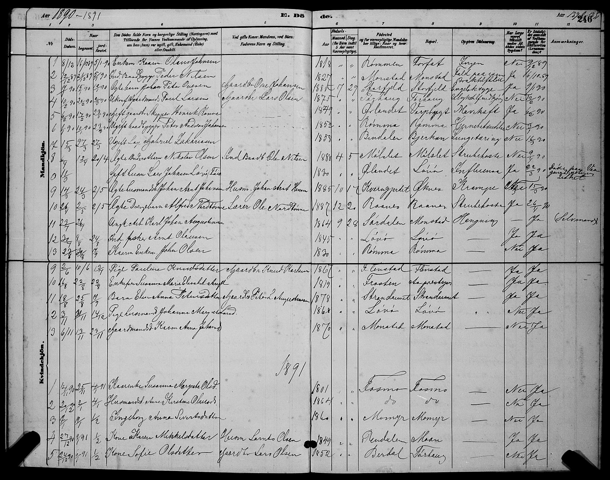 Ministerialprotokoller, klokkerbøker og fødselsregistre - Sør-Trøndelag, SAT/A-1456/655/L0687: Parish register (copy) no. 655C03, 1880-1898, p. 246