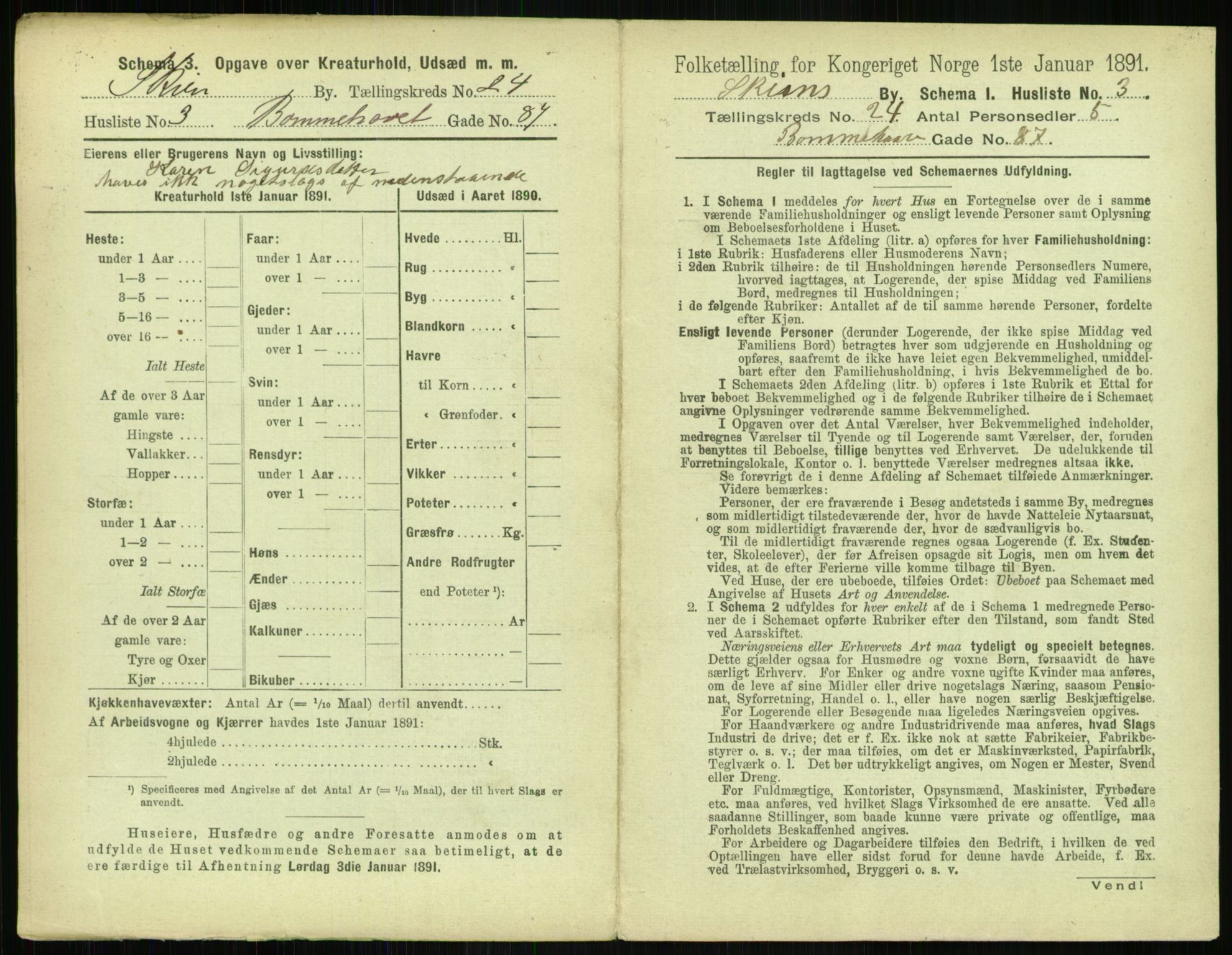 RA, 1891 census for 0806 Skien, 1891, p. 896