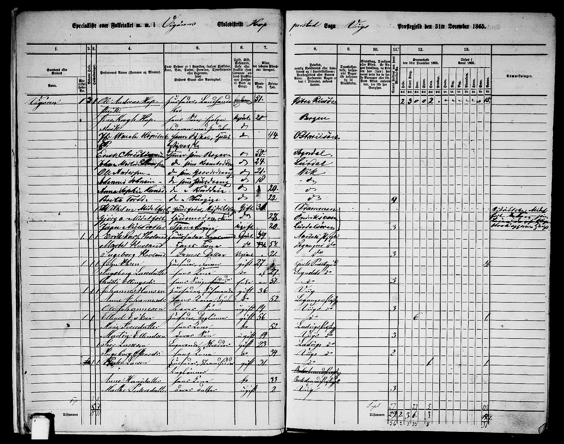 RA, 1865 census for Vik, 1865, p. 12