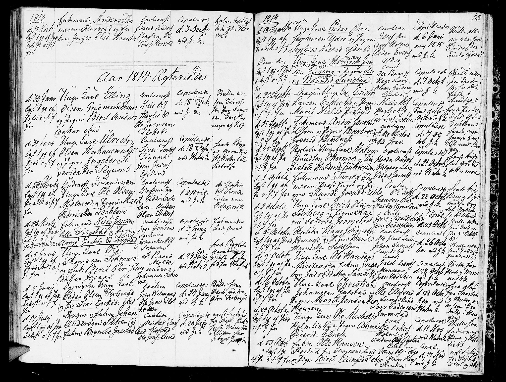 Ministerialprotokoller, klokkerbøker og fødselsregistre - Nord-Trøndelag, AV/SAT-A-1458/723/L0233: Parish register (official) no. 723A04, 1805-1816, p. 173