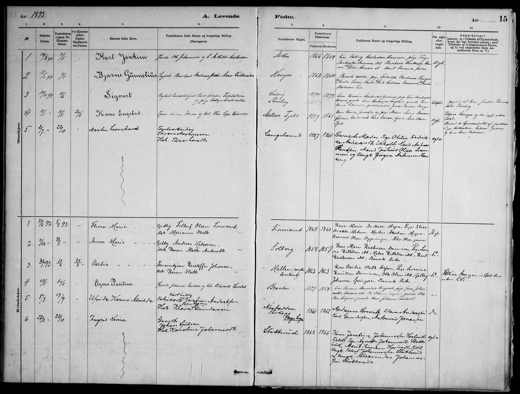 Skoger kirkebøker, AV/SAKO-A-59/F/Fb/L0001: Parish register (official) no. II 1, 1885-1913, p. 15