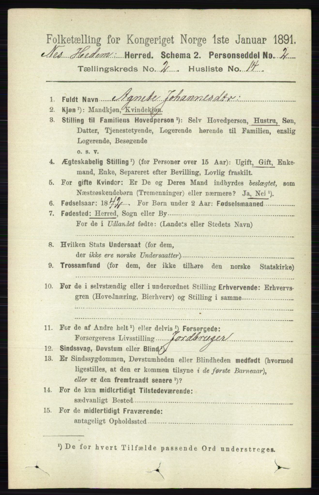 RA, 1891 census for 0411 Nes, 1891, p. 1152