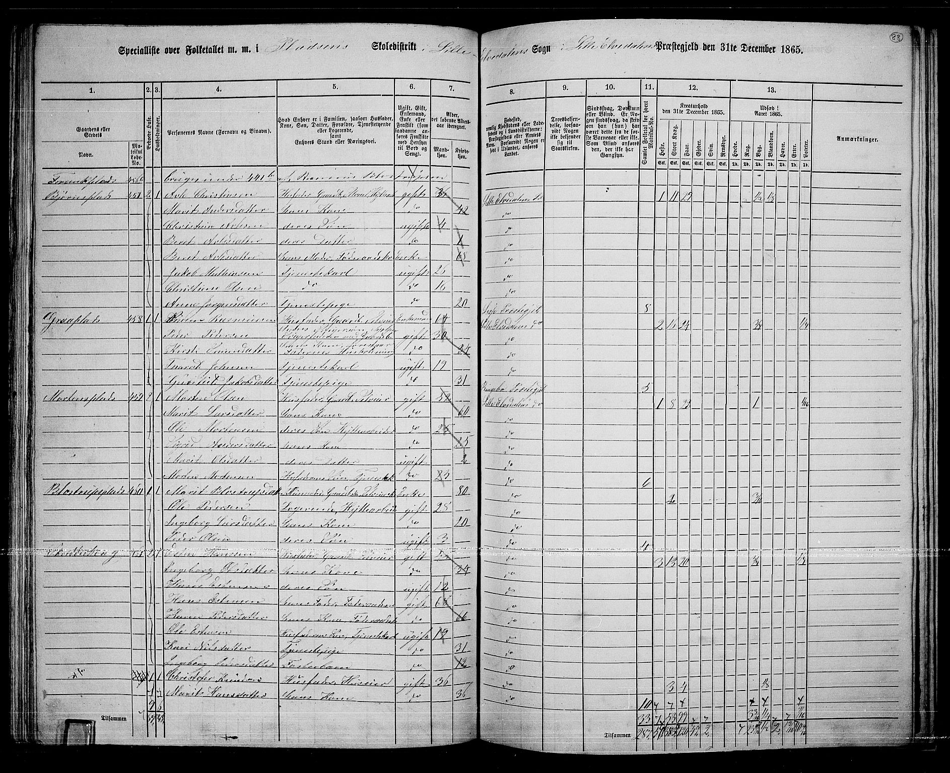 RA, 1865 census for Lille Elvedalen, 1865, p. 75