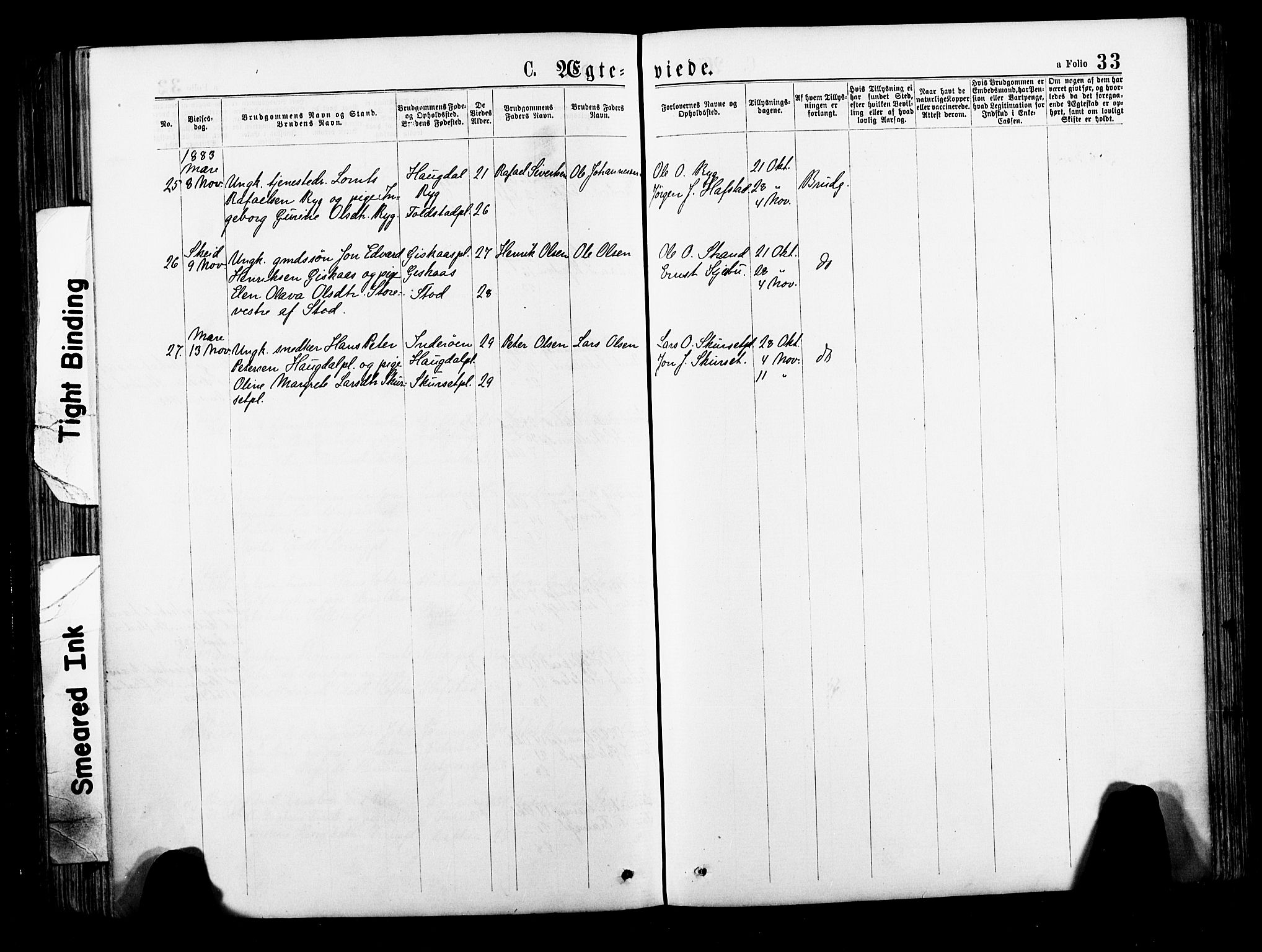 Ministerialprotokoller, klokkerbøker og fødselsregistre - Nord-Trøndelag, AV/SAT-A-1458/735/L0348: Parish register (official) no. 735A09 /1, 1873-1883, p. 33