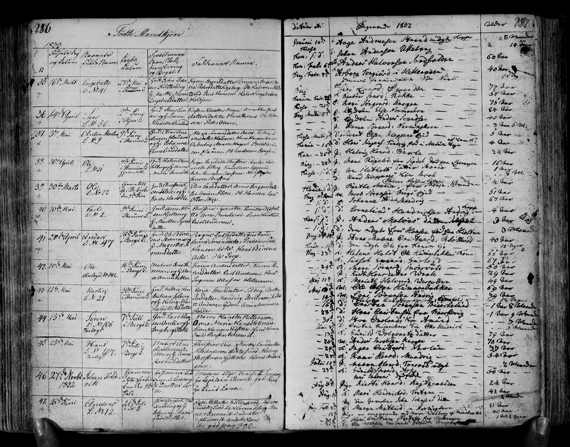 Brunlanes kirkebøker, SAKO/A-342/F/Fa/L0002: Parish register (official) no. I 2, 1802-1834, p. 286-287