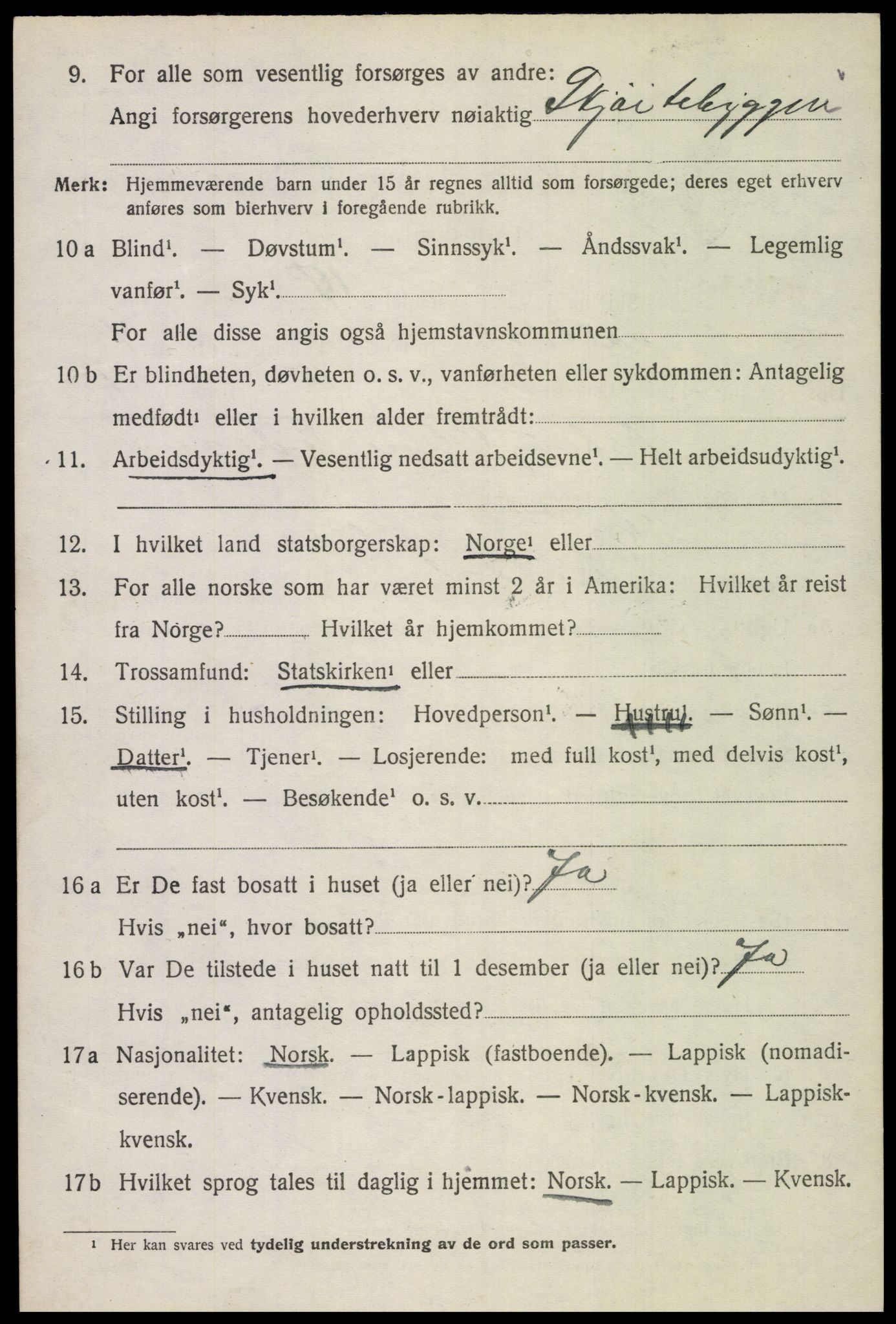 SAT, 1920 census for Saltdal, 1920, p. 5888