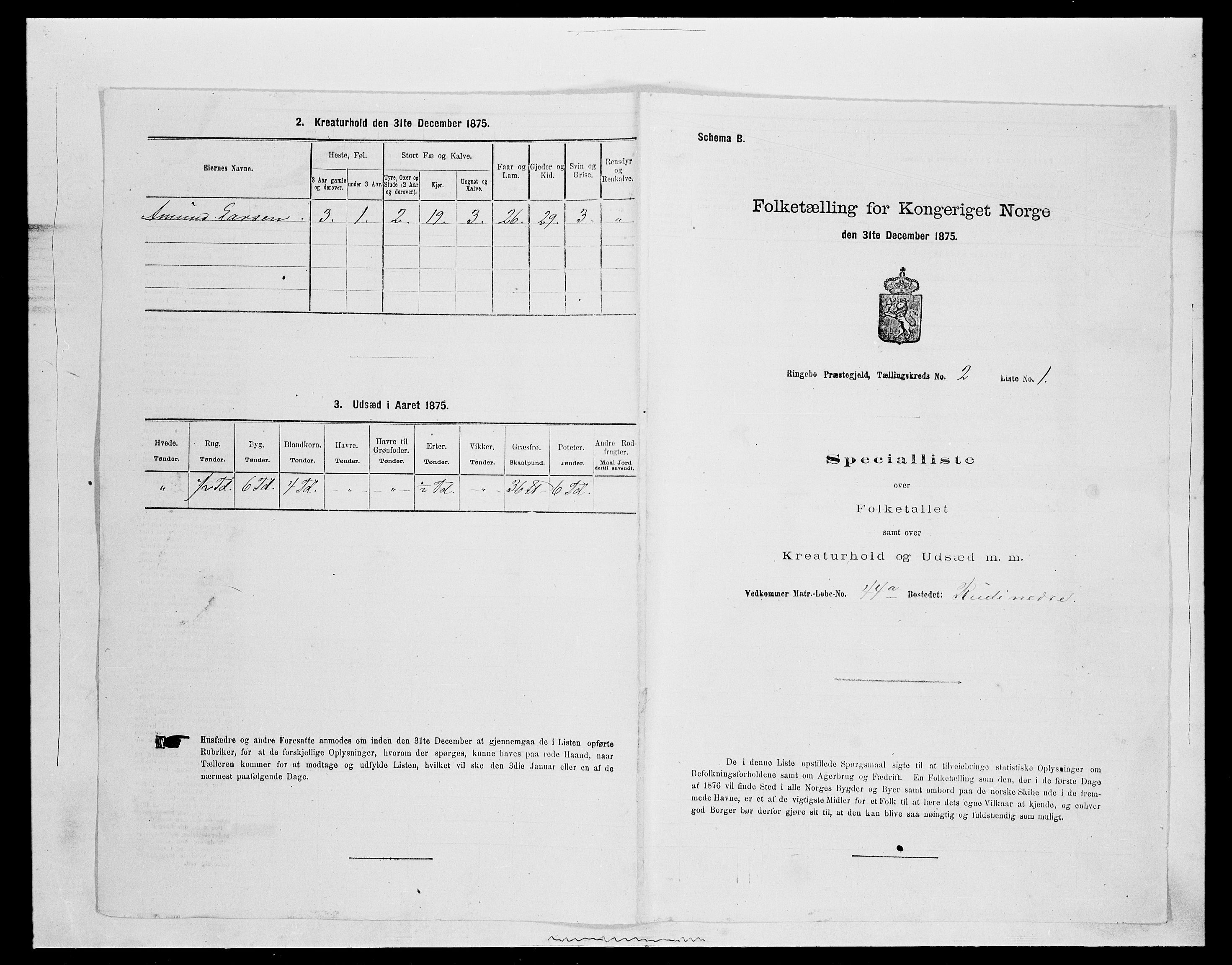 SAH, 1875 census for 0520P Ringebu, 1875, p. 257