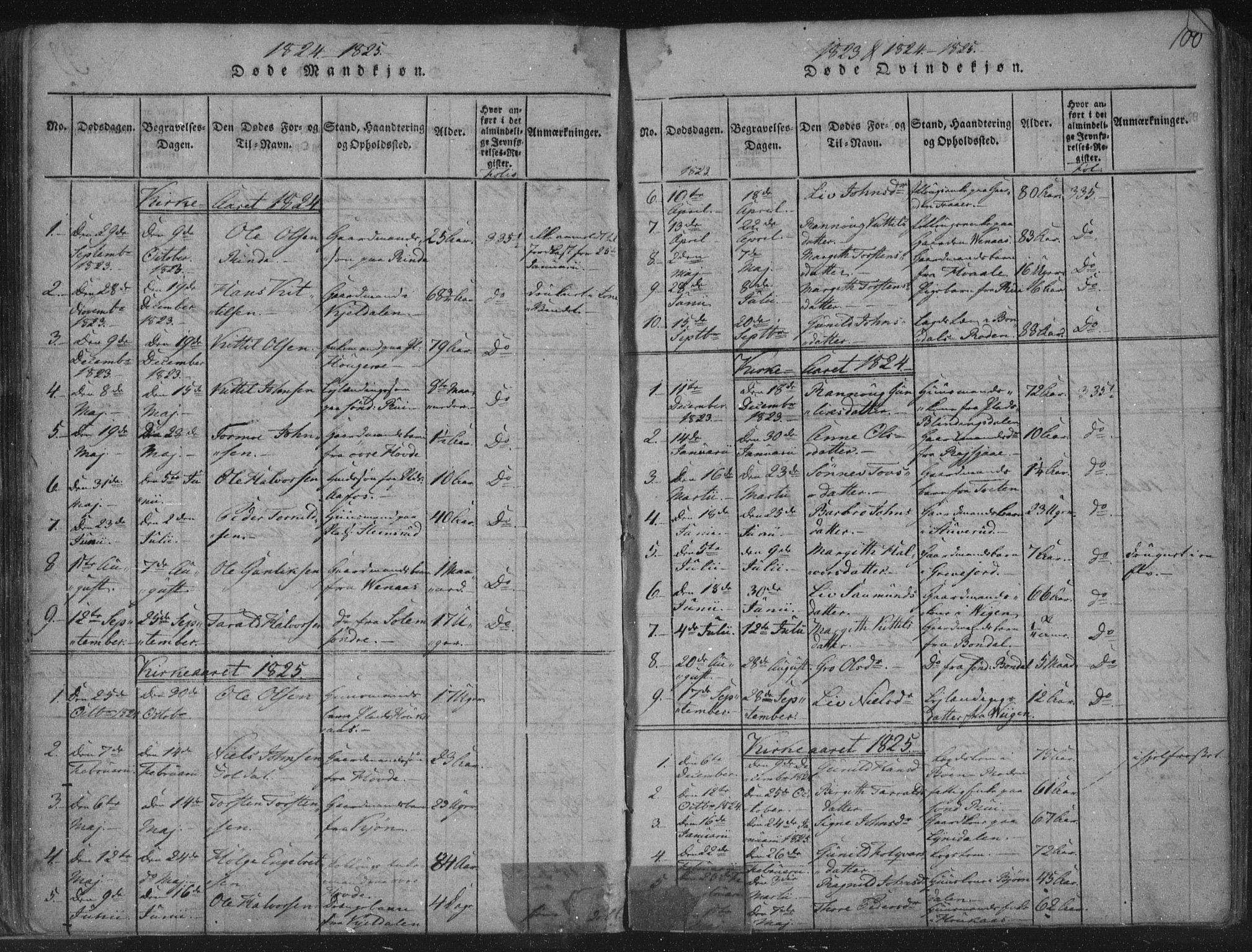 Hjartdal kirkebøker, SAKO/A-270/F/Fc/L0001: Parish register (official) no. III 1, 1815-1843, p. 100