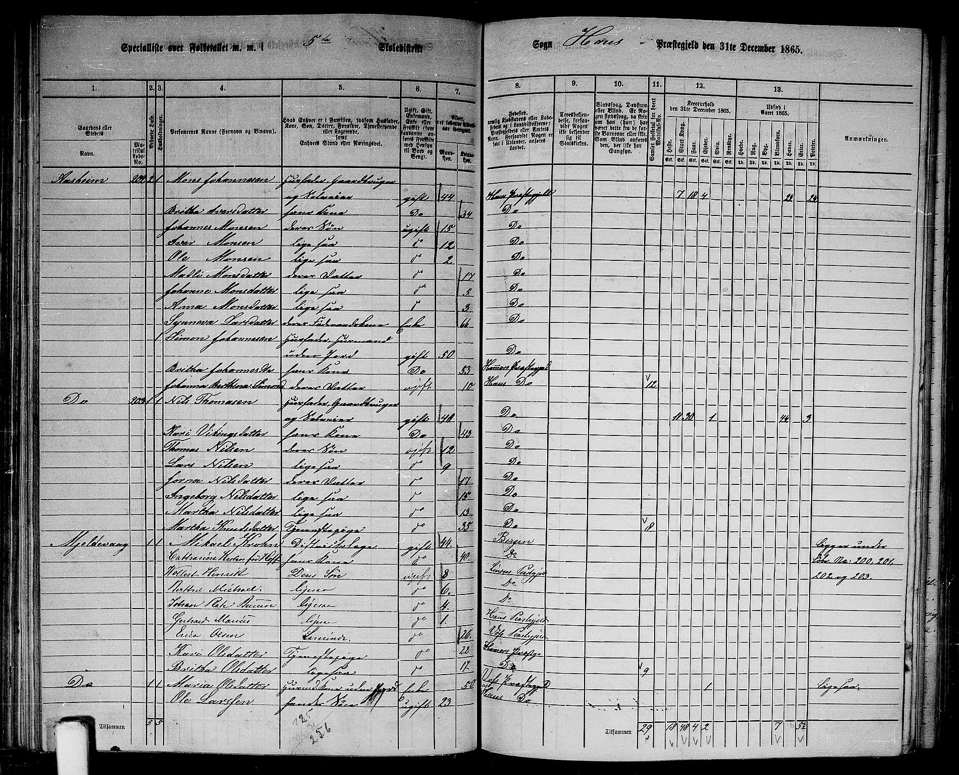 RA, 1865 census for Haus, 1865, p. 101
