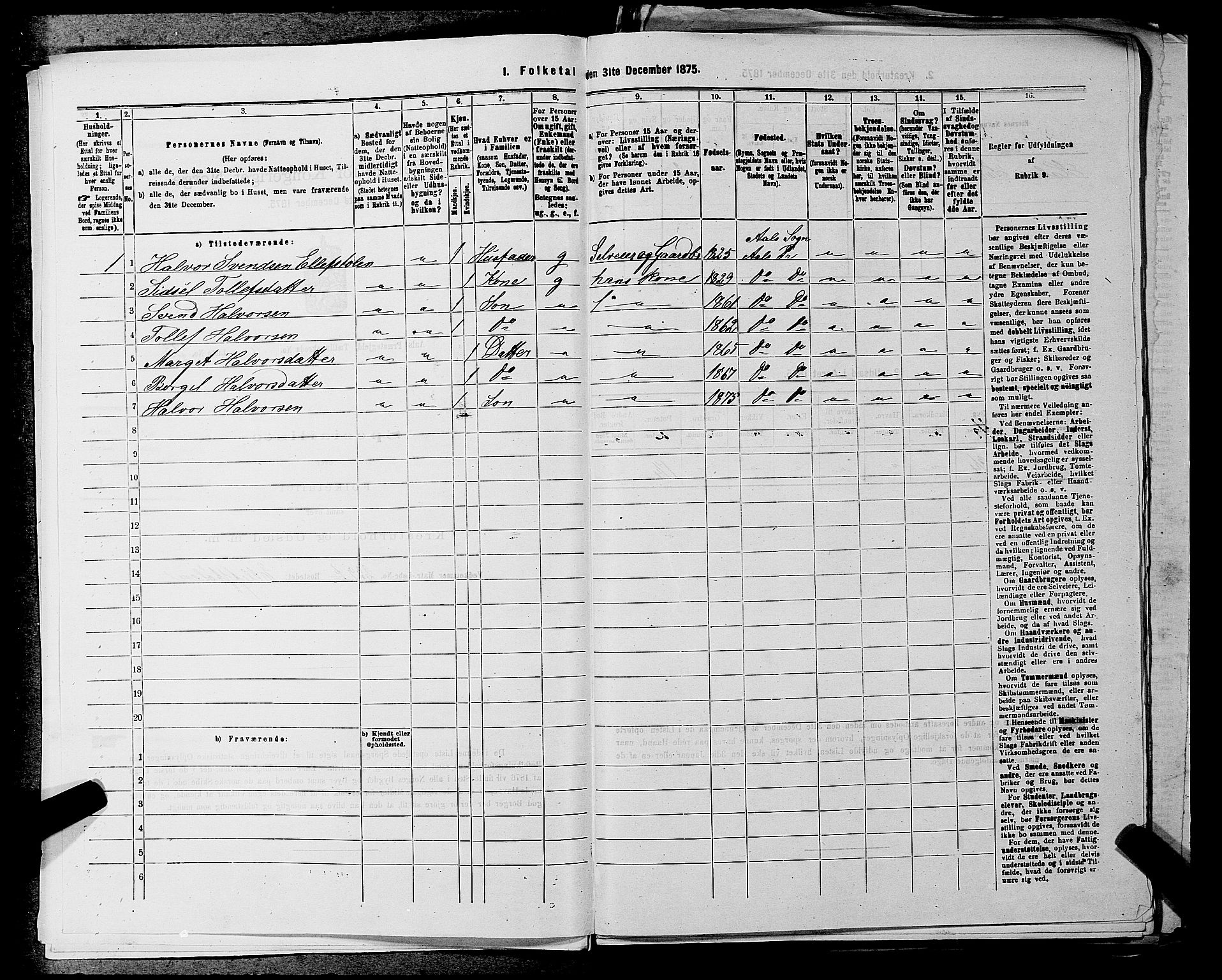 SAKO, 1875 census for 0619P Ål, 1875, p. 807
