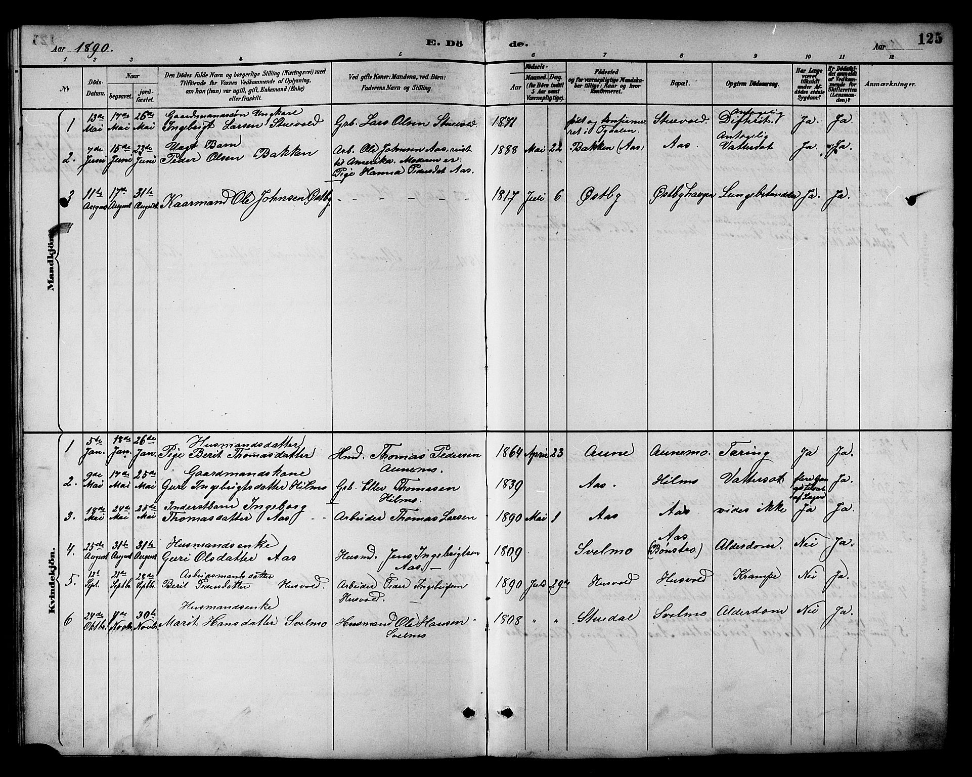 Ministerialprotokoller, klokkerbøker og fødselsregistre - Sør-Trøndelag, SAT/A-1456/698/L1167: Parish register (copy) no. 698C04, 1888-1907, p. 125
