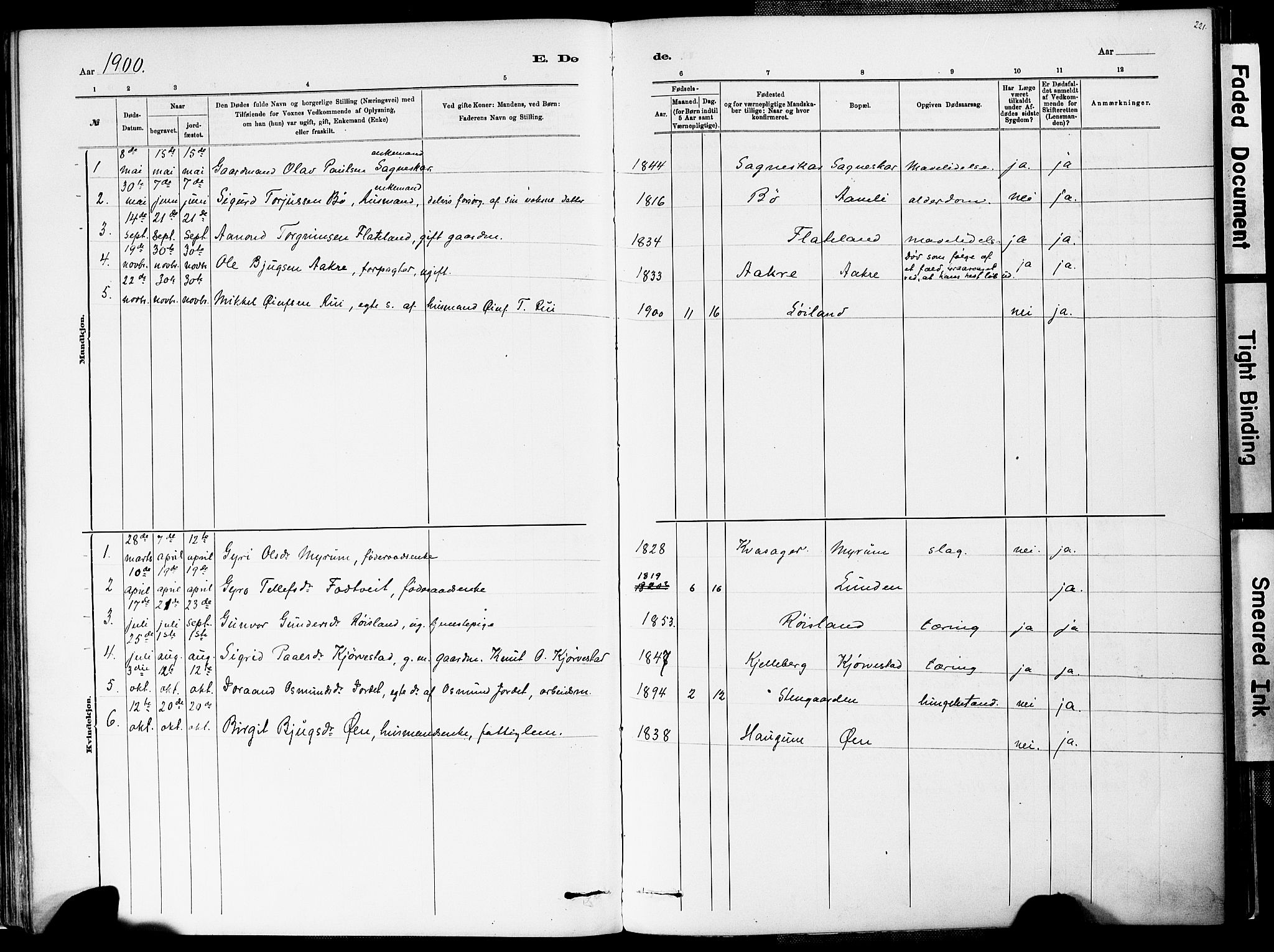 Valle sokneprestkontor, AV/SAK-1111-0044/F/Fa/Fac/L0009: Parish register (official) no. A 9, 1882-1913, p. 221