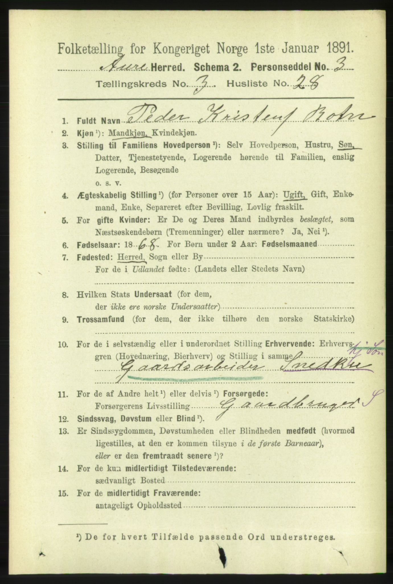 RA, 1891 census for 1569 Aure, 1891, p. 1752