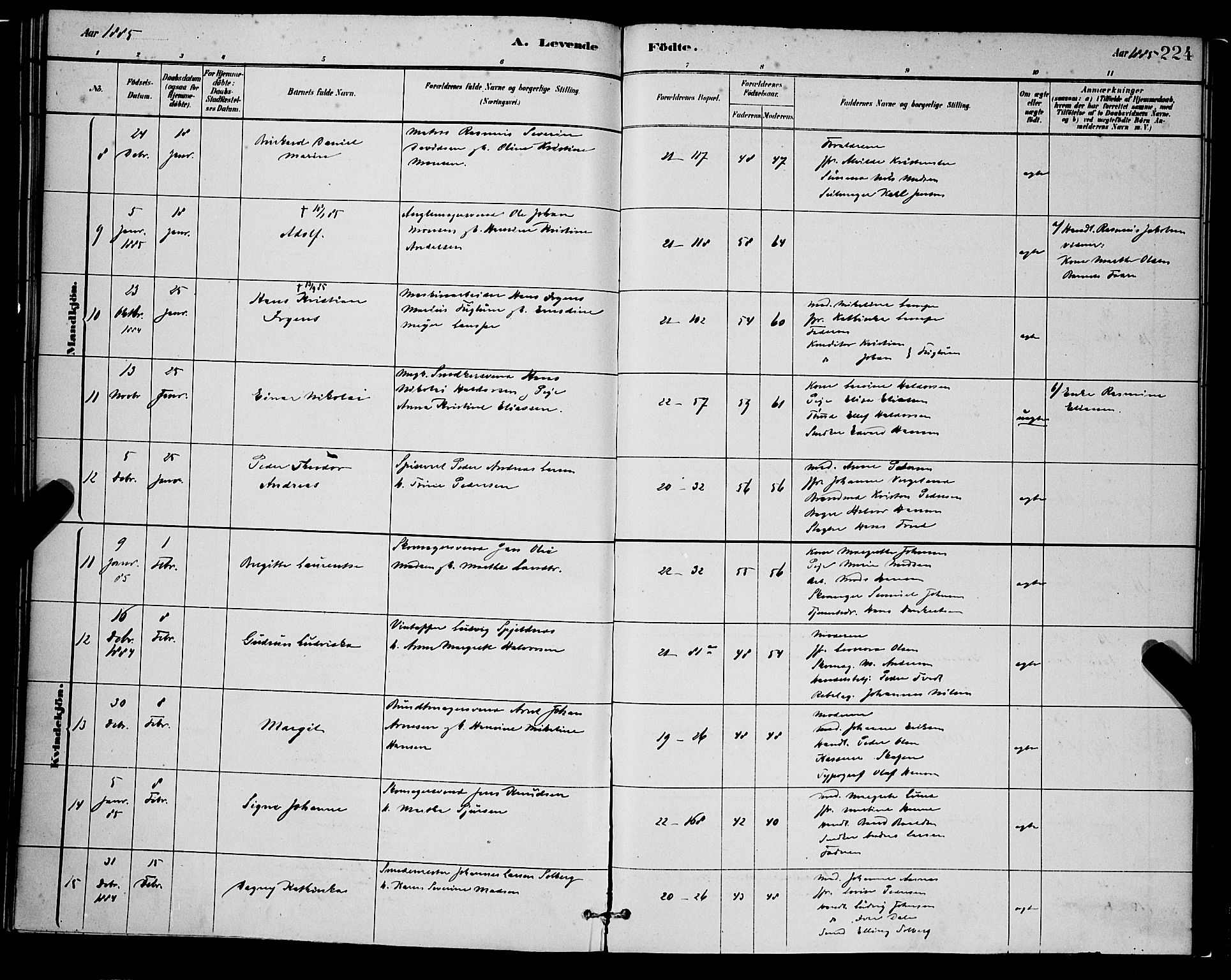 Korskirken sokneprestembete, AV/SAB-A-76101/H/Hab: Parish register (copy) no. B 8, 1878-1887, p. 224