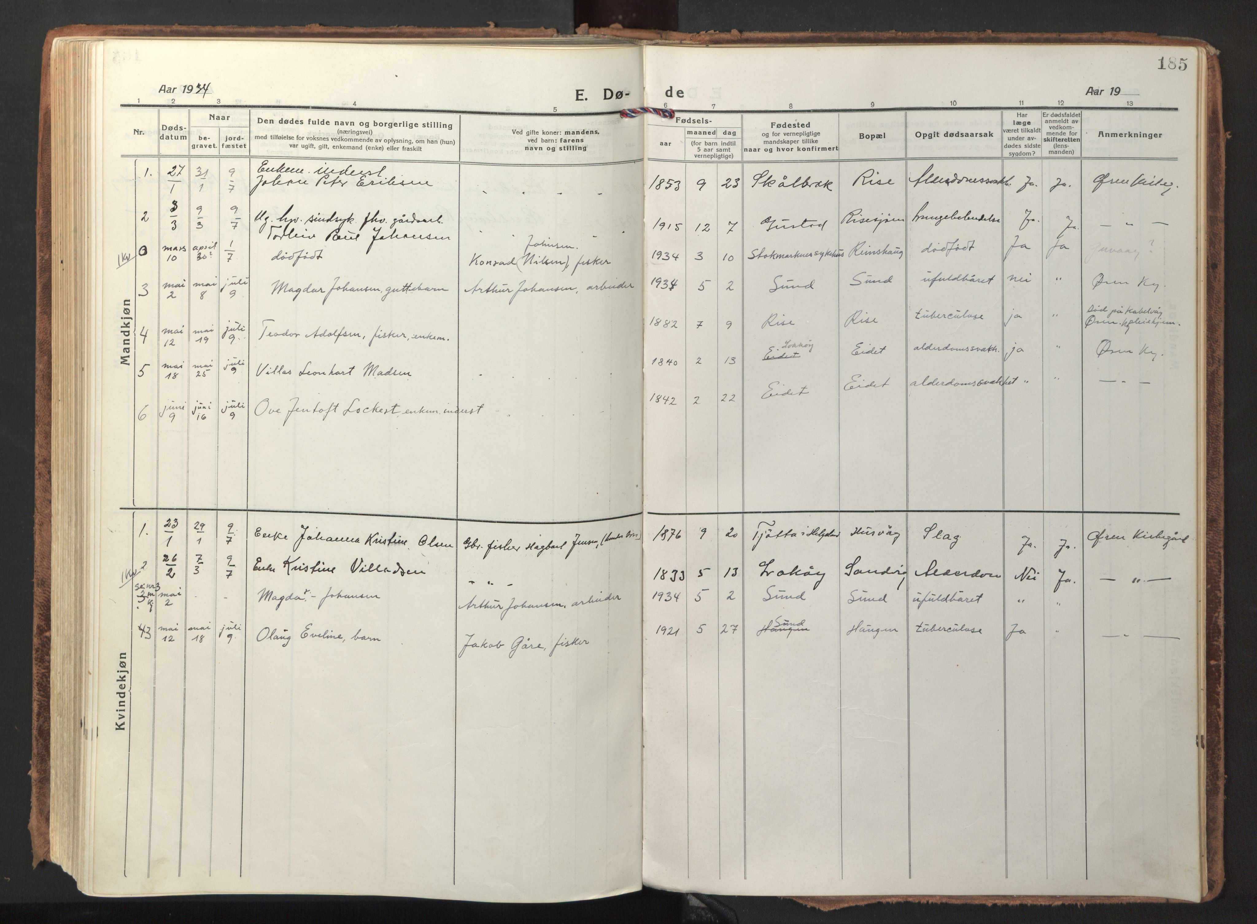 Ministerialprotokoller, klokkerbøker og fødselsregistre - Nordland, AV/SAT-A-1459/892/L1323: Parish register (official) no. 892A04, 1917-1934, p. 185