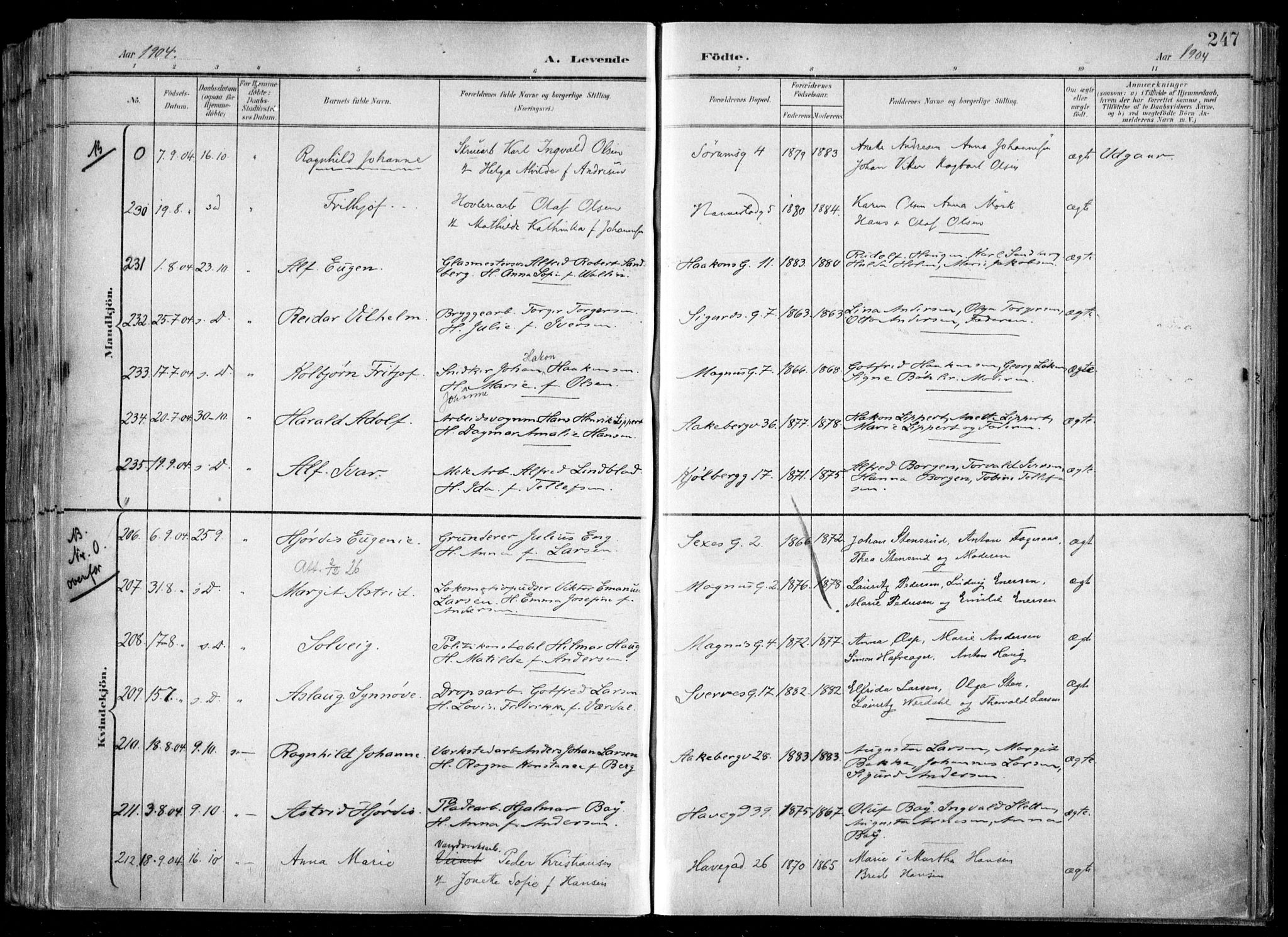 Kampen prestekontor Kirkebøker, SAO/A-10853/F/Fa/L0007: Parish register (official) no. I 7, 1897-1905, p. 247