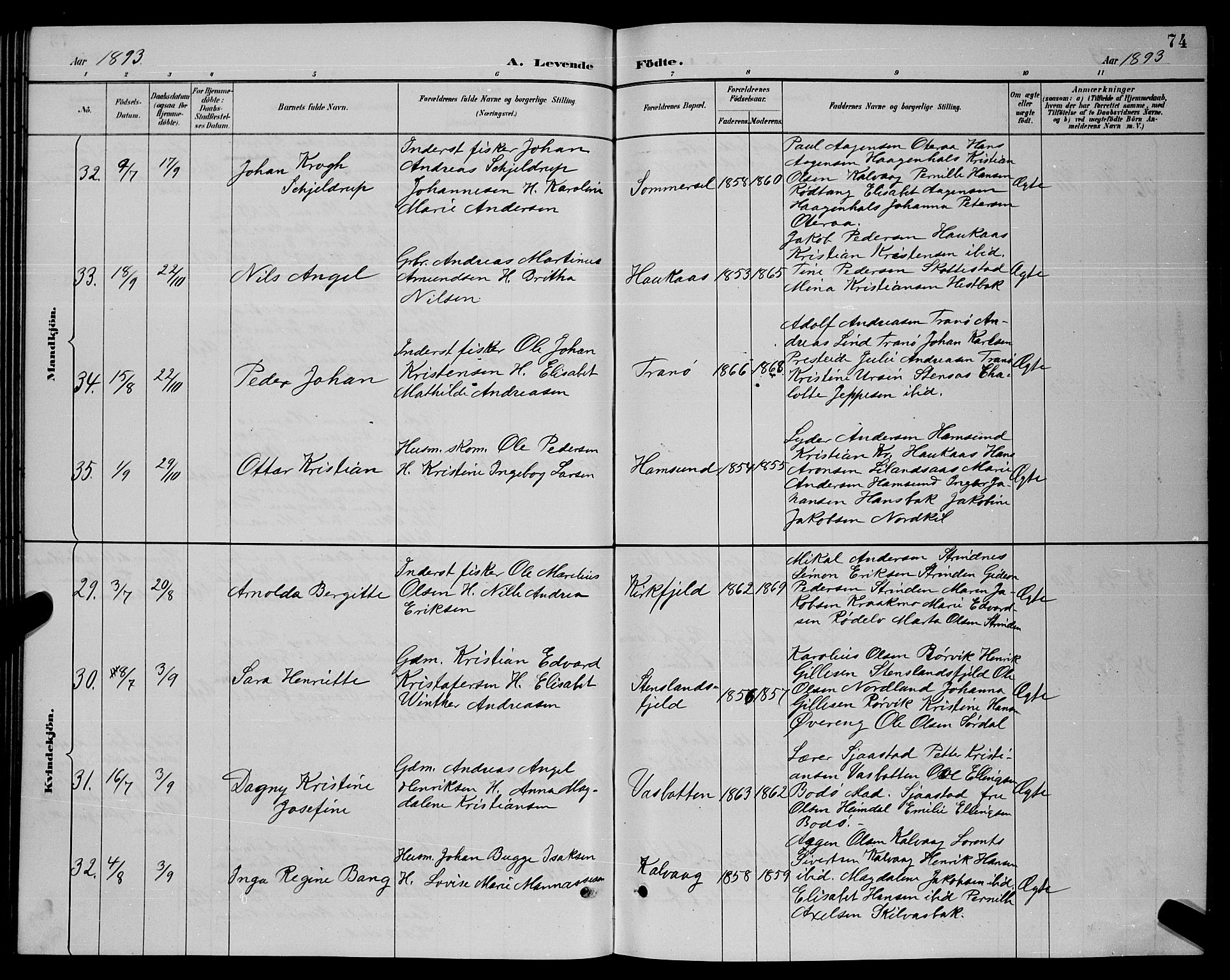 Ministerialprotokoller, klokkerbøker og fødselsregistre - Nordland, AV/SAT-A-1459/859/L0859: Parish register (copy) no. 859C05, 1887-1898, p. 74