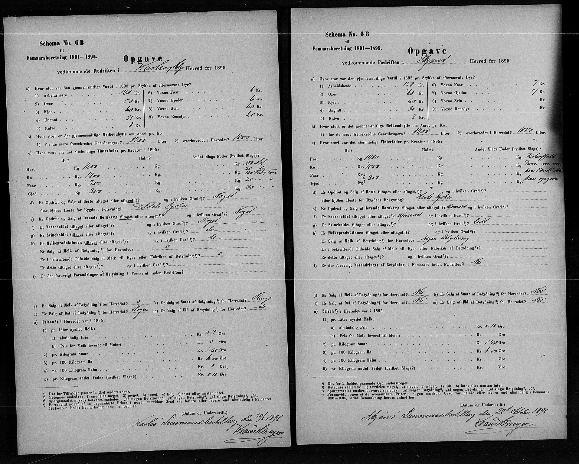 Statistisk sentralbyrå, Næringsøkonomiske emner, Generelt - Amtmennenes femårsberetninger, AV/RA-S-2233/F/Fa/L0080: --, 1895, p. 250