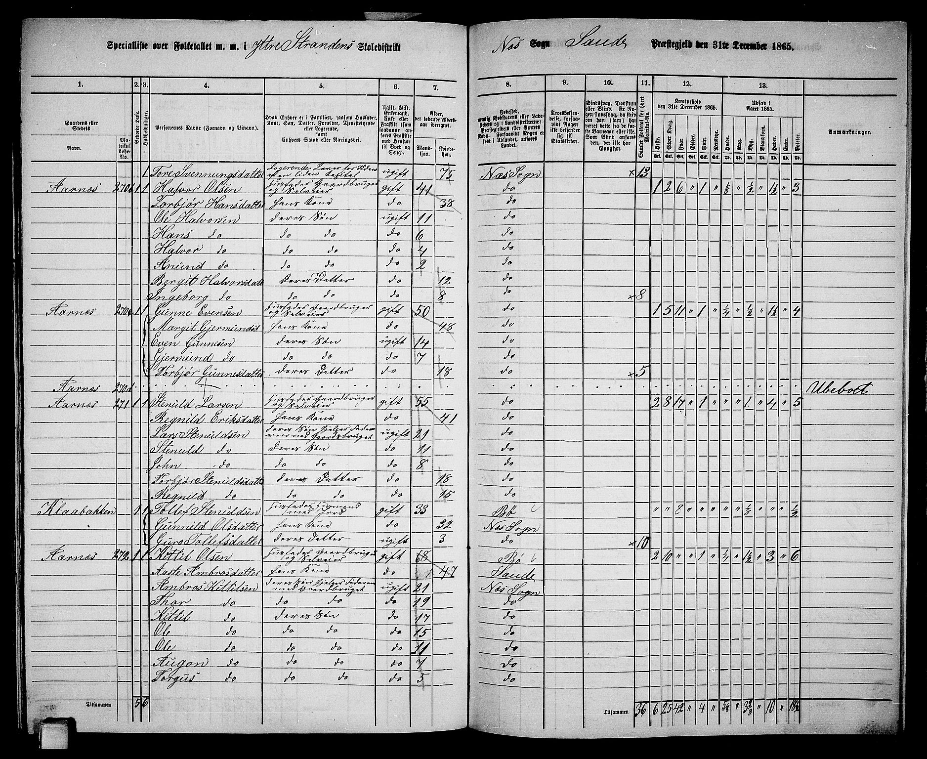 RA, 1865 census for Sauherad, 1865, p. 164