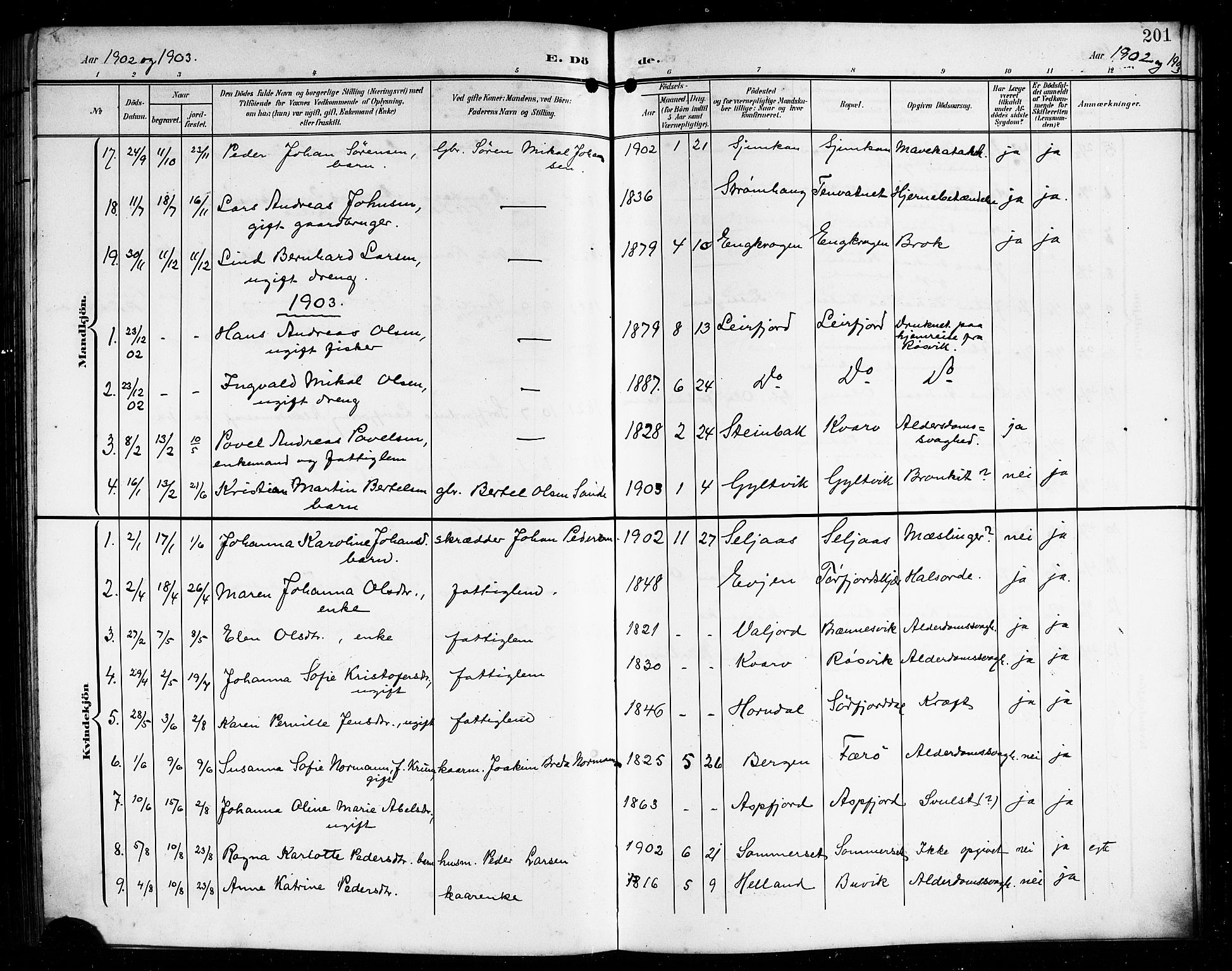 Ministerialprotokoller, klokkerbøker og fødselsregistre - Nordland, AV/SAT-A-1459/854/L0786: Parish register (copy) no. 854C02, 1901-1912, p. 201