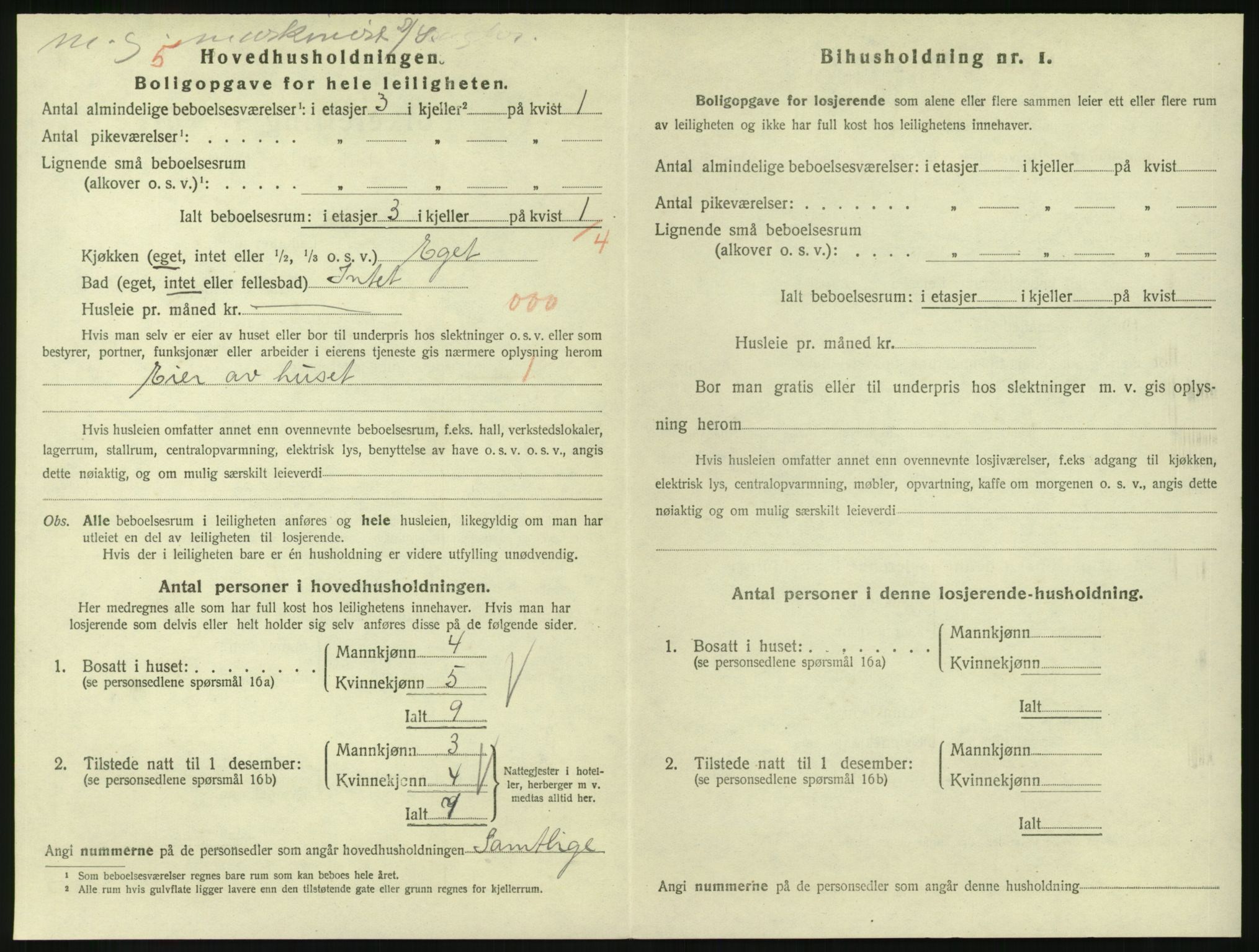 SAKO, 1920 census for Larvik, 1920, p. 3983