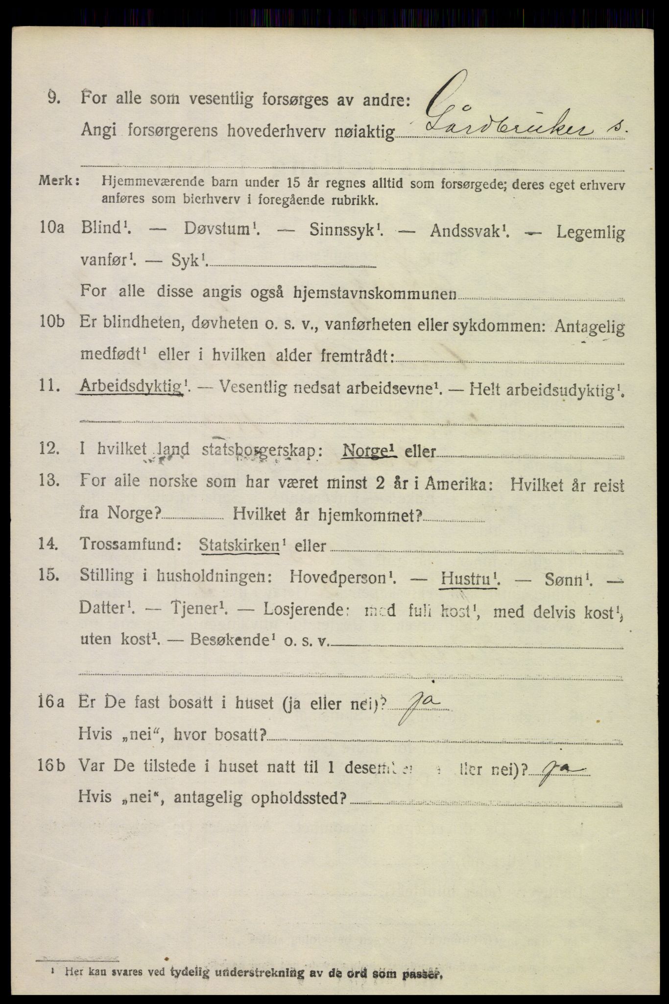 SAH, 1920 census for Skjåk, 1920, p. 1079