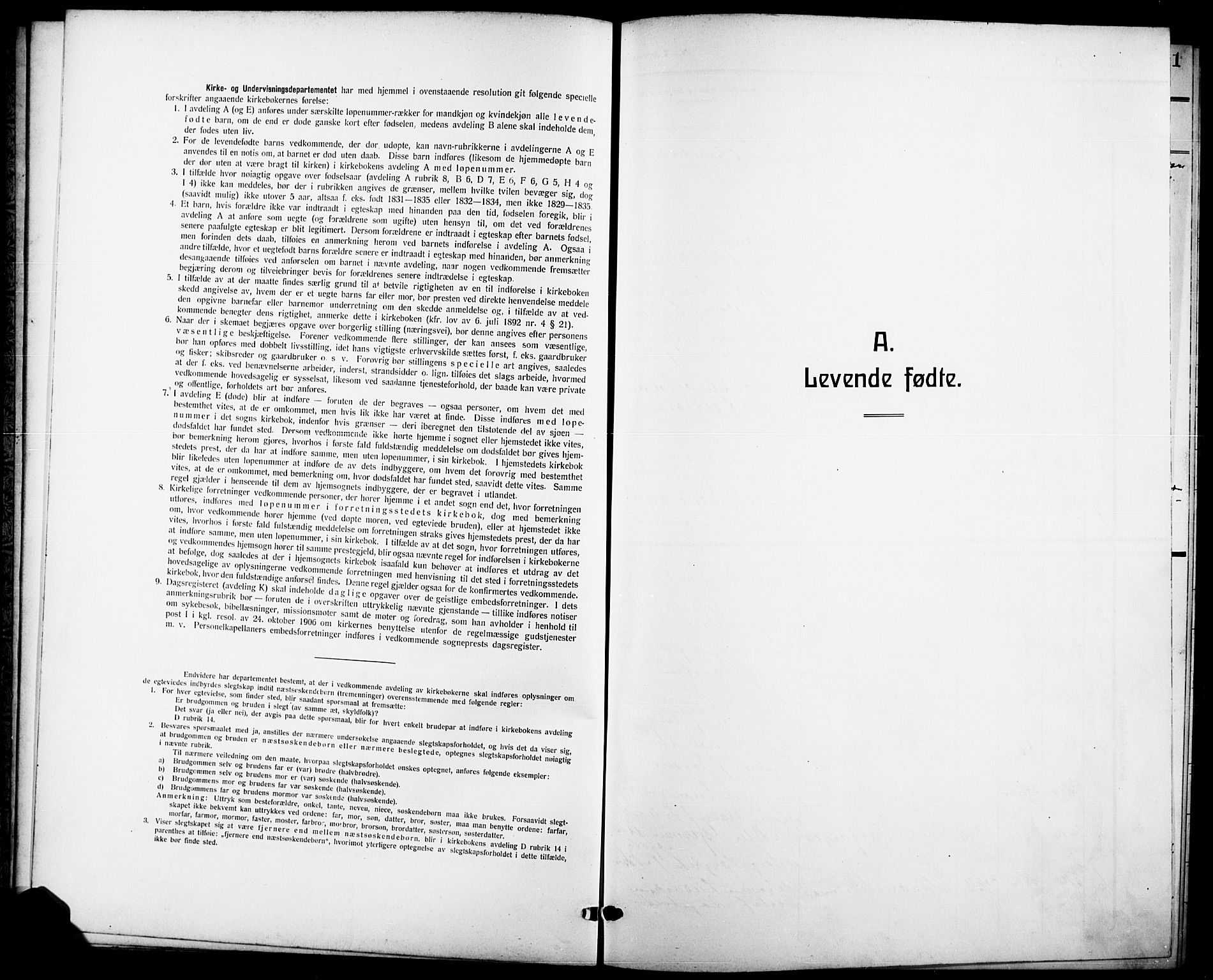 Skåtøy kirkebøker, SAKO/A-304/G/Ga/L0005: Parish register (copy) no. I 5, 1915-1925