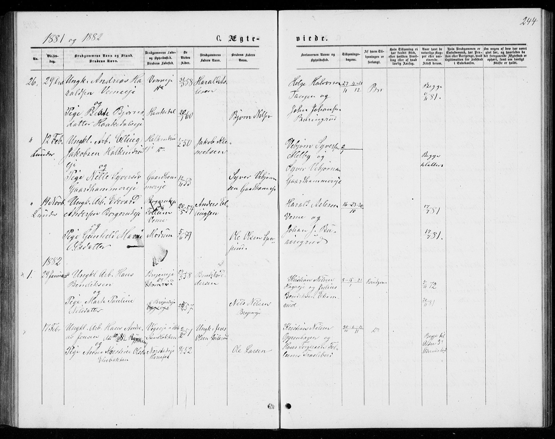 Norderhov kirkebøker, SAKO/A-237/G/Ga/L0007: Parish register (copy) no. I 7, 1877-1887, p. 244