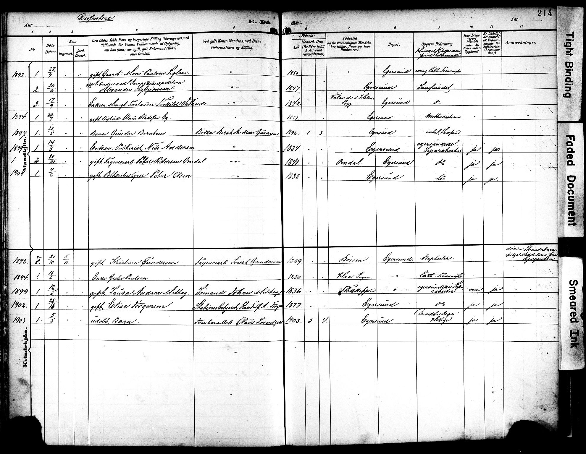 Eigersund sokneprestkontor, AV/SAST-A-101807/S08/L0019: Parish register (official) no. A 18, 1892-1905, p. 214