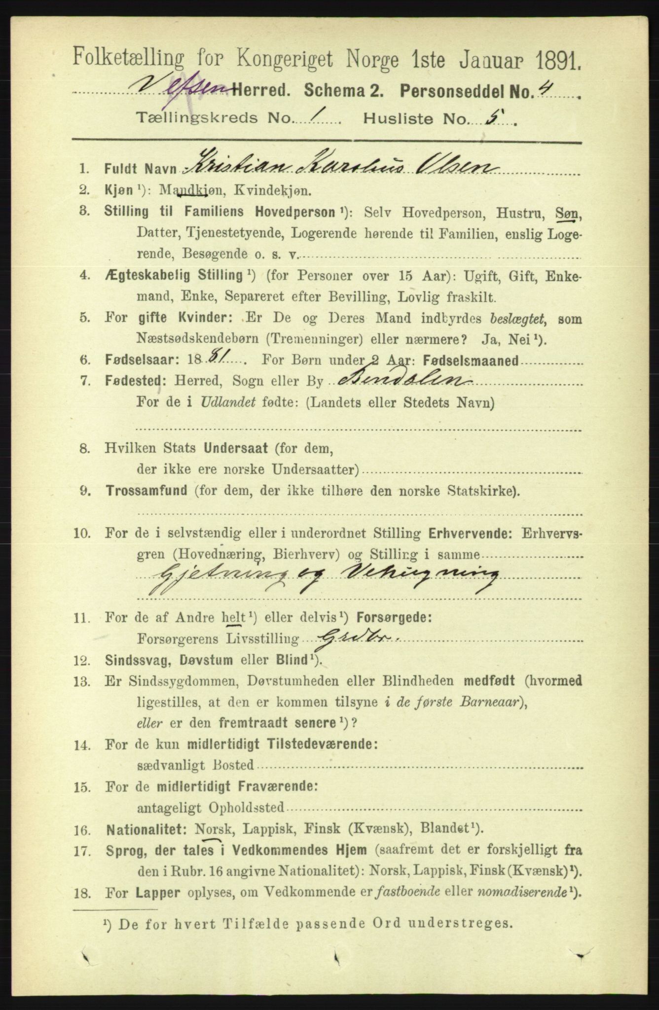 RA, 1891 census for 1824 Vefsn, 1891, p. 119