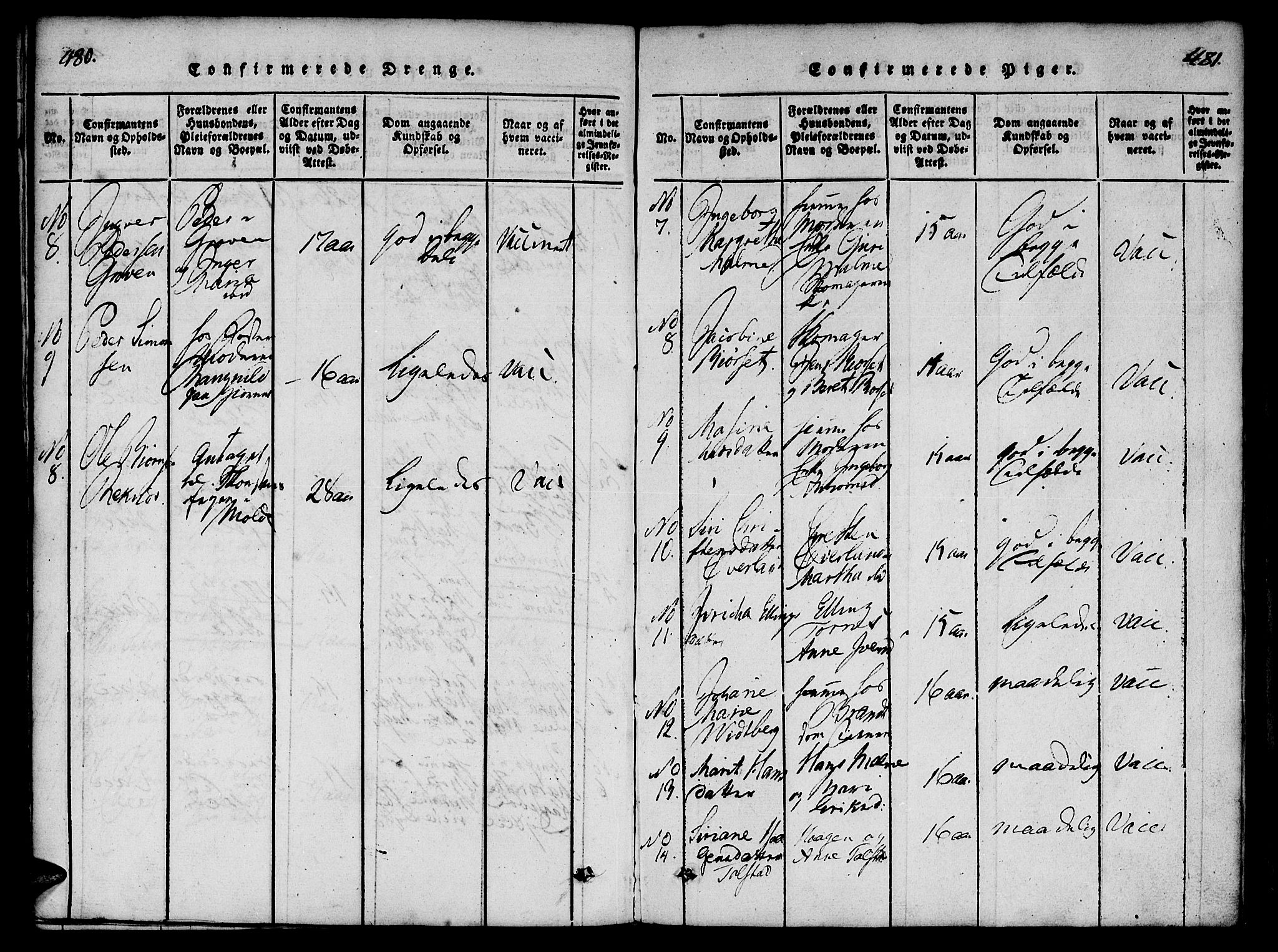 Ministerialprotokoller, klokkerbøker og fødselsregistre - Møre og Romsdal, SAT/A-1454/558/L0688: Parish register (official) no. 558A02, 1818-1843, p. 480-481