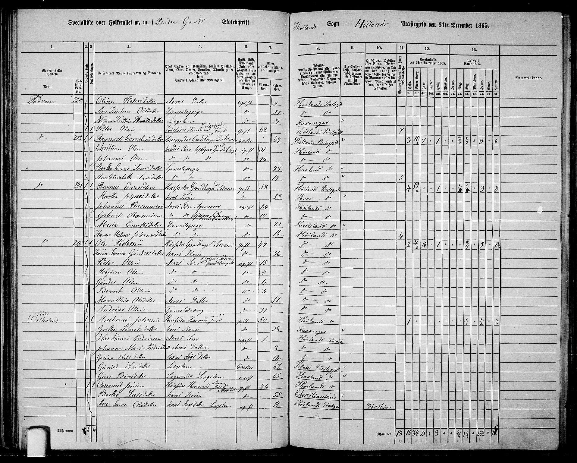 RA, 1865 census for Høyland, 1865, p. 47