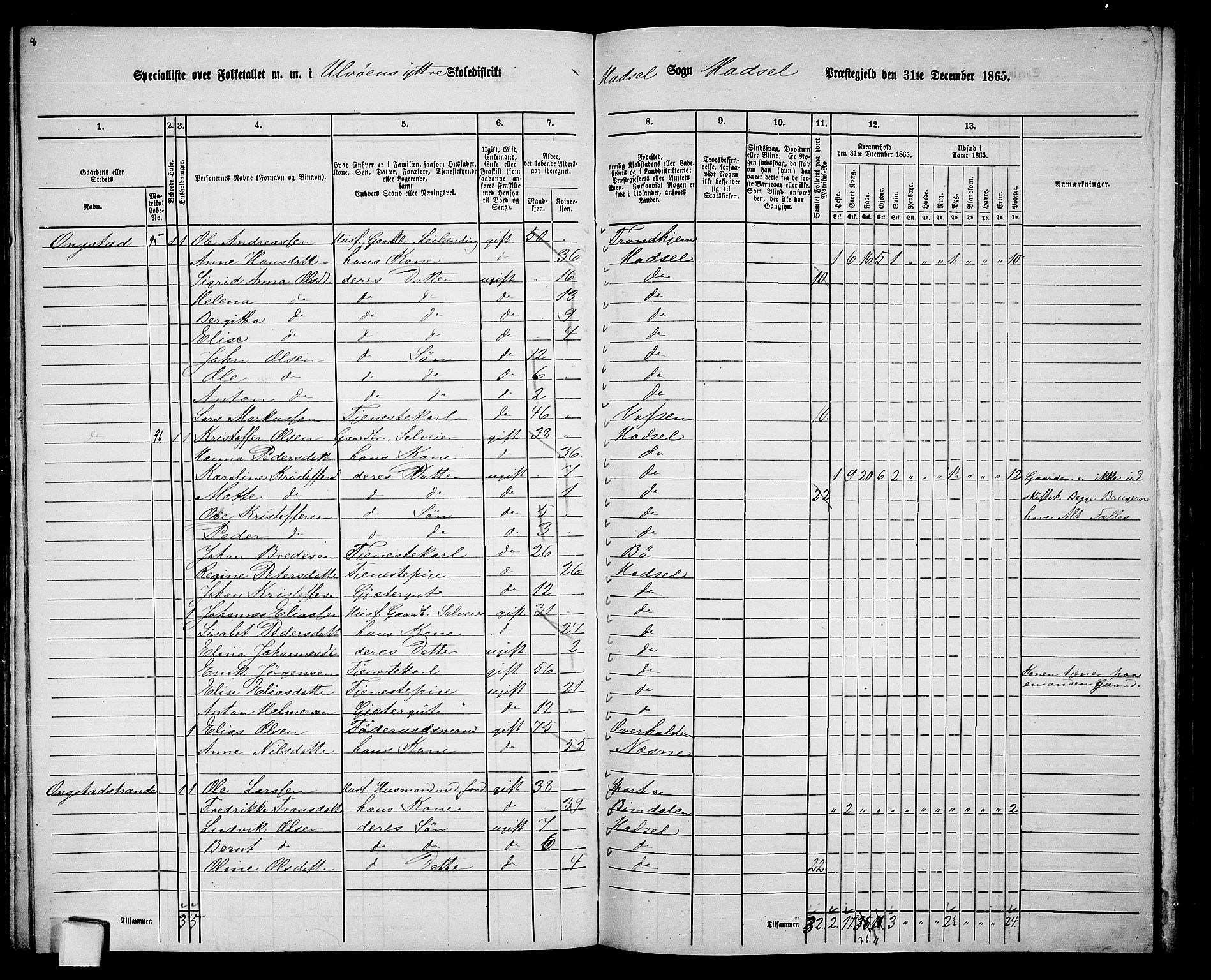 RA, 1865 census for Hadsel, 1865, p. 93