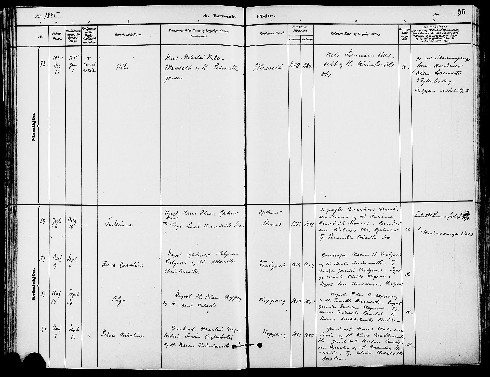 Stor-Elvdal prestekontor, AV/SAH-PREST-052/H/Ha/Haa/L0002: Parish register (official) no. 2, 1882-1907, p. 55