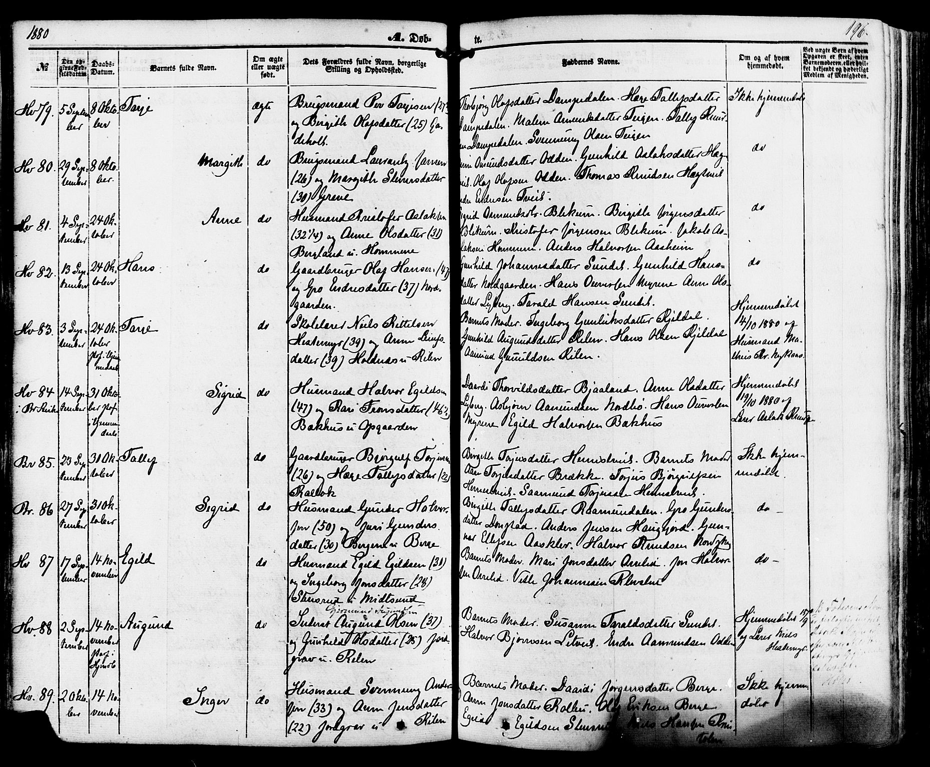 Kviteseid kirkebøker, SAKO/A-276/F/Fa/L0007: Parish register (official) no. I 7, 1859-1881, p. 196