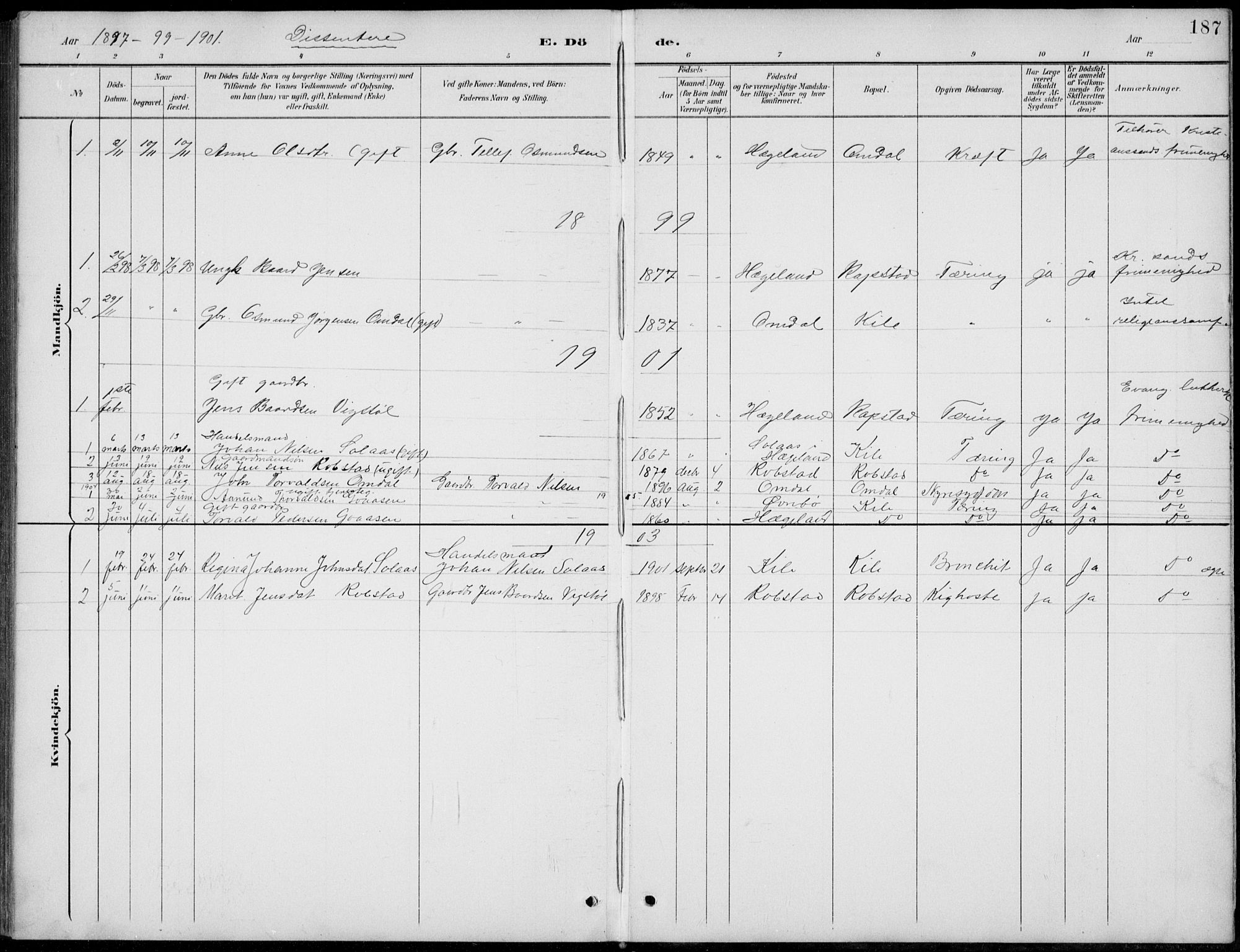 Vennesla sokneprestkontor, SAK/1111-0045/Fb/Fba/L0003: Parish register (copy) no. B 3, 1890-1919, p. 187