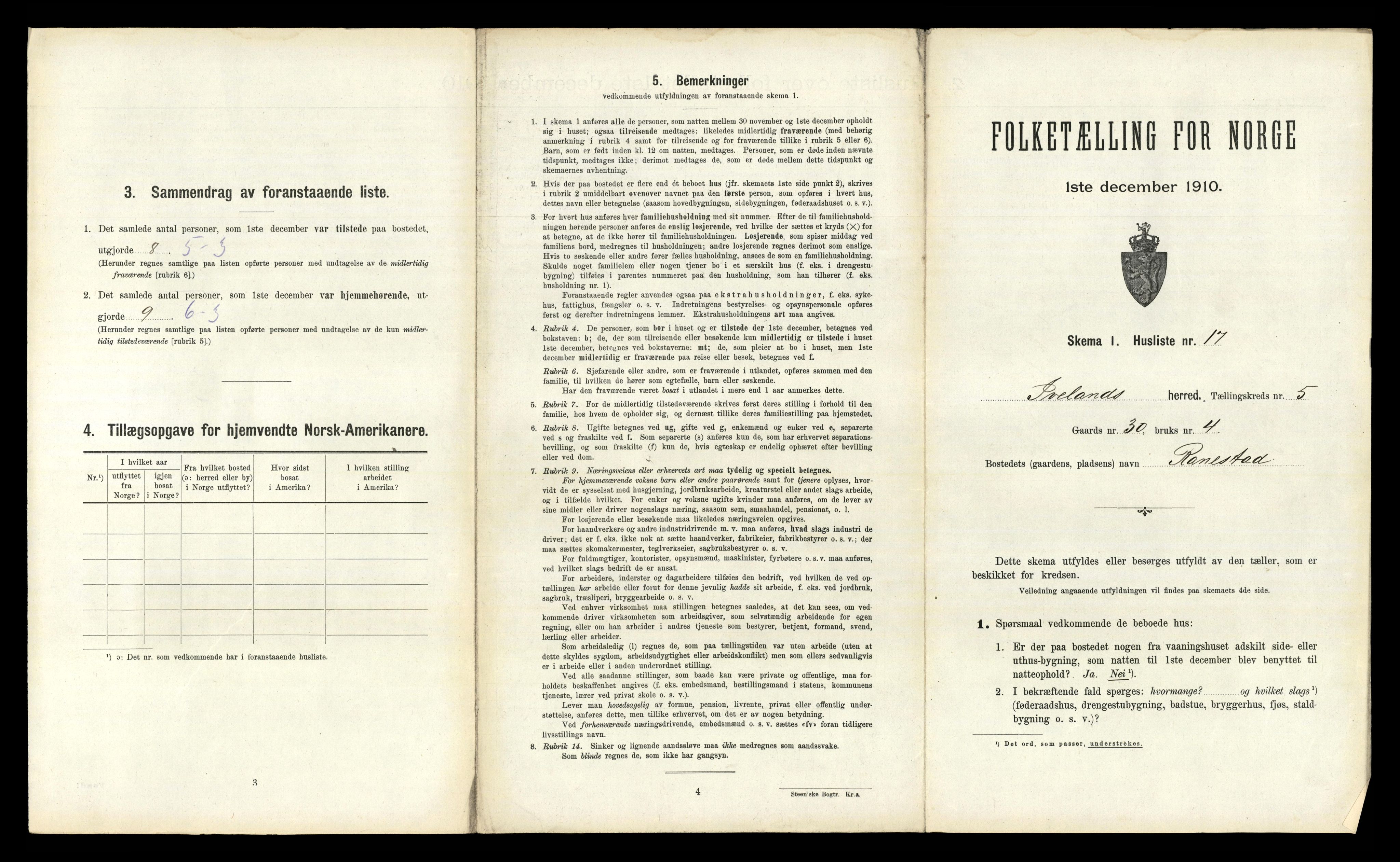 RA, 1910 census for Iveland, 1910, p. 253