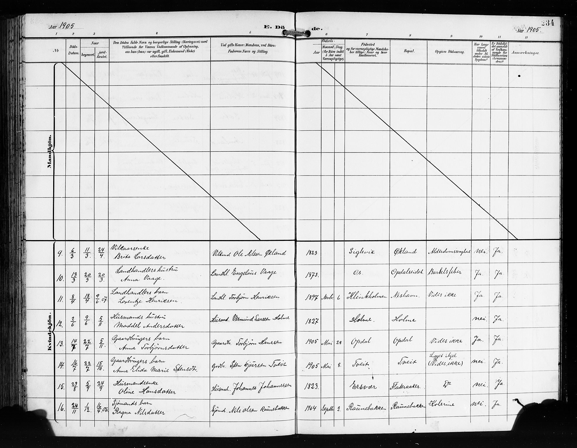 Tysnes sokneprestembete, AV/SAB-A-78601/H/Hab: Parish register (copy) no. E 3, 1897-1913, p. 234